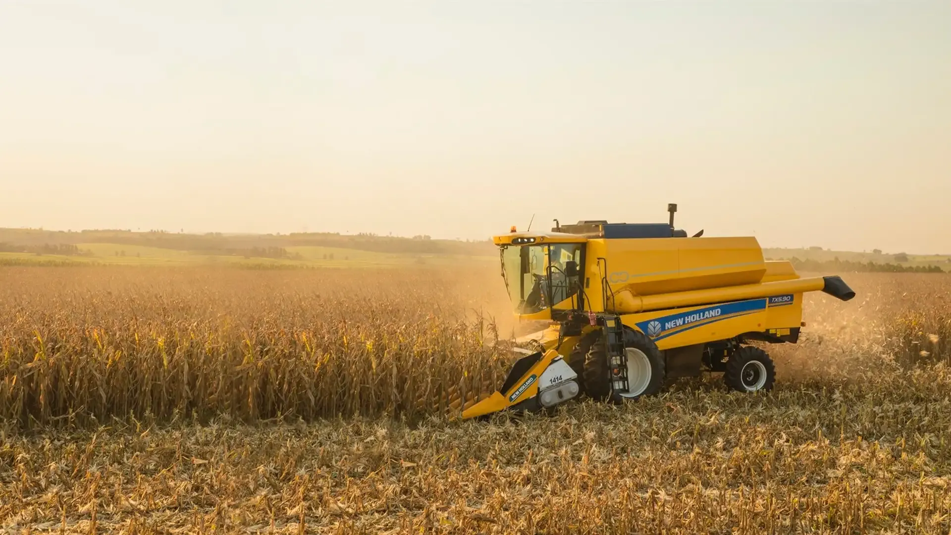 imgi_2_95e6504720f34bea9ac529d5609d20c9