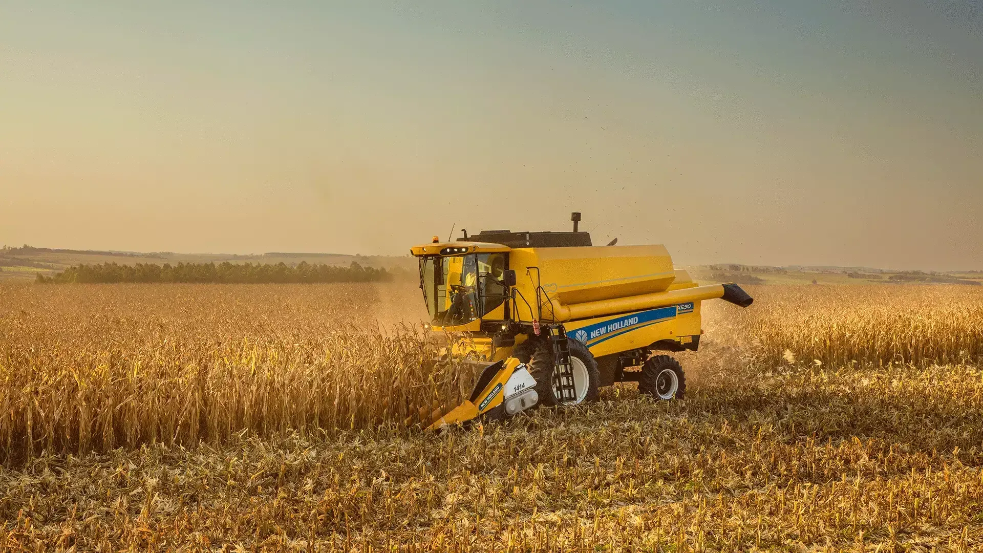 imgi_2_a7e497b9749341dc898c6c9d07db893c