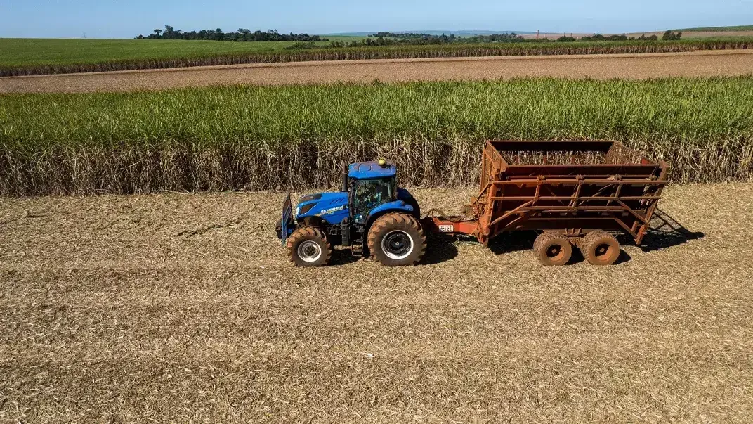 imgi_31_ab470509562941a3a889d04e3c1468e9