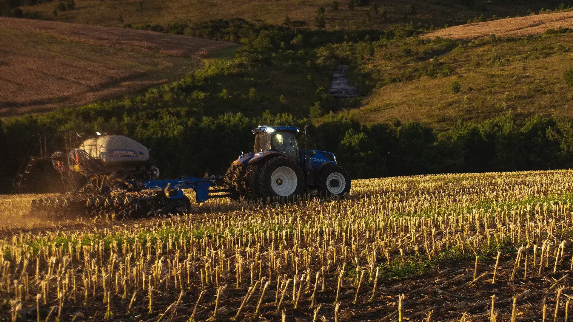 imgi_32_3973b866e331471badeb4f8927f67735