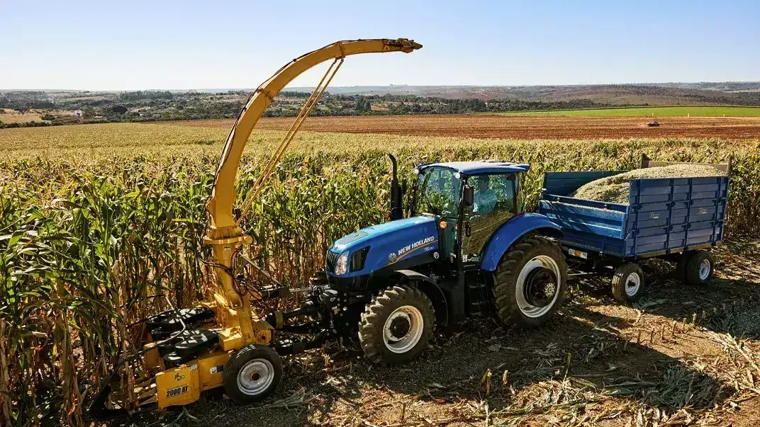 imgi_33_5014e0589d7a4f1f85b6f424a1a0af3d