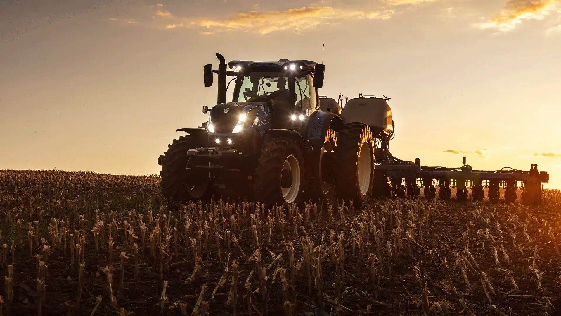 imgi_38_b584dd74fce241ccbb7674c081e3ab47