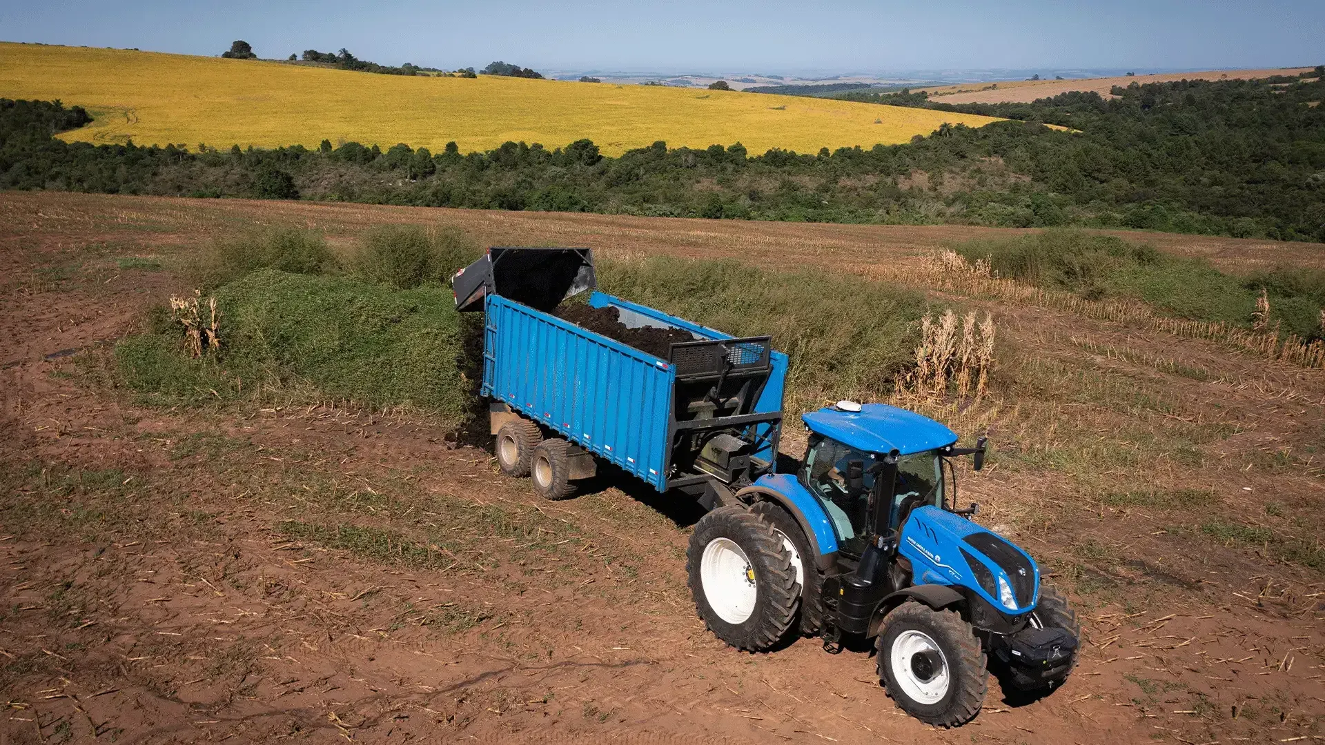 imgi_54_c922a53ff92f4d62a0315768a73f27cf