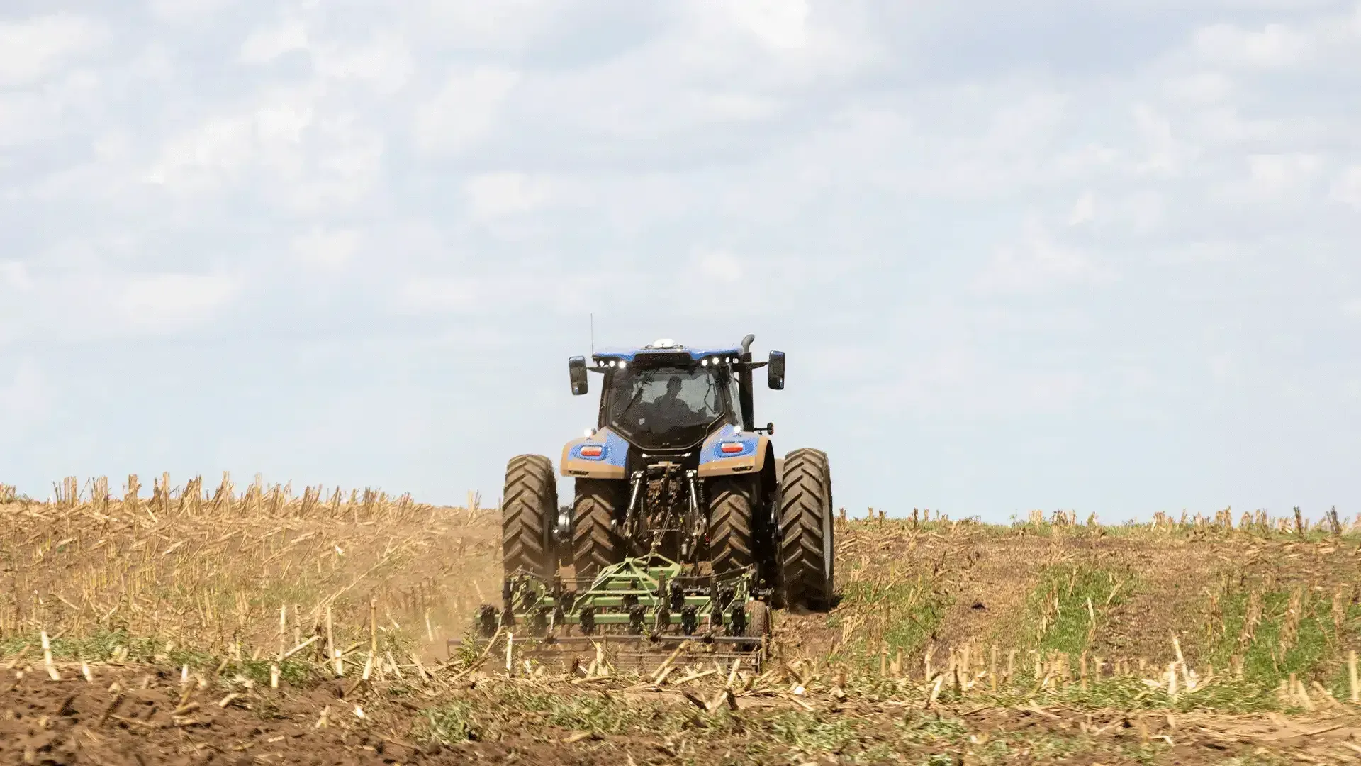 imgi_55_a6137ef35bb4473fbb2804111685d6cb