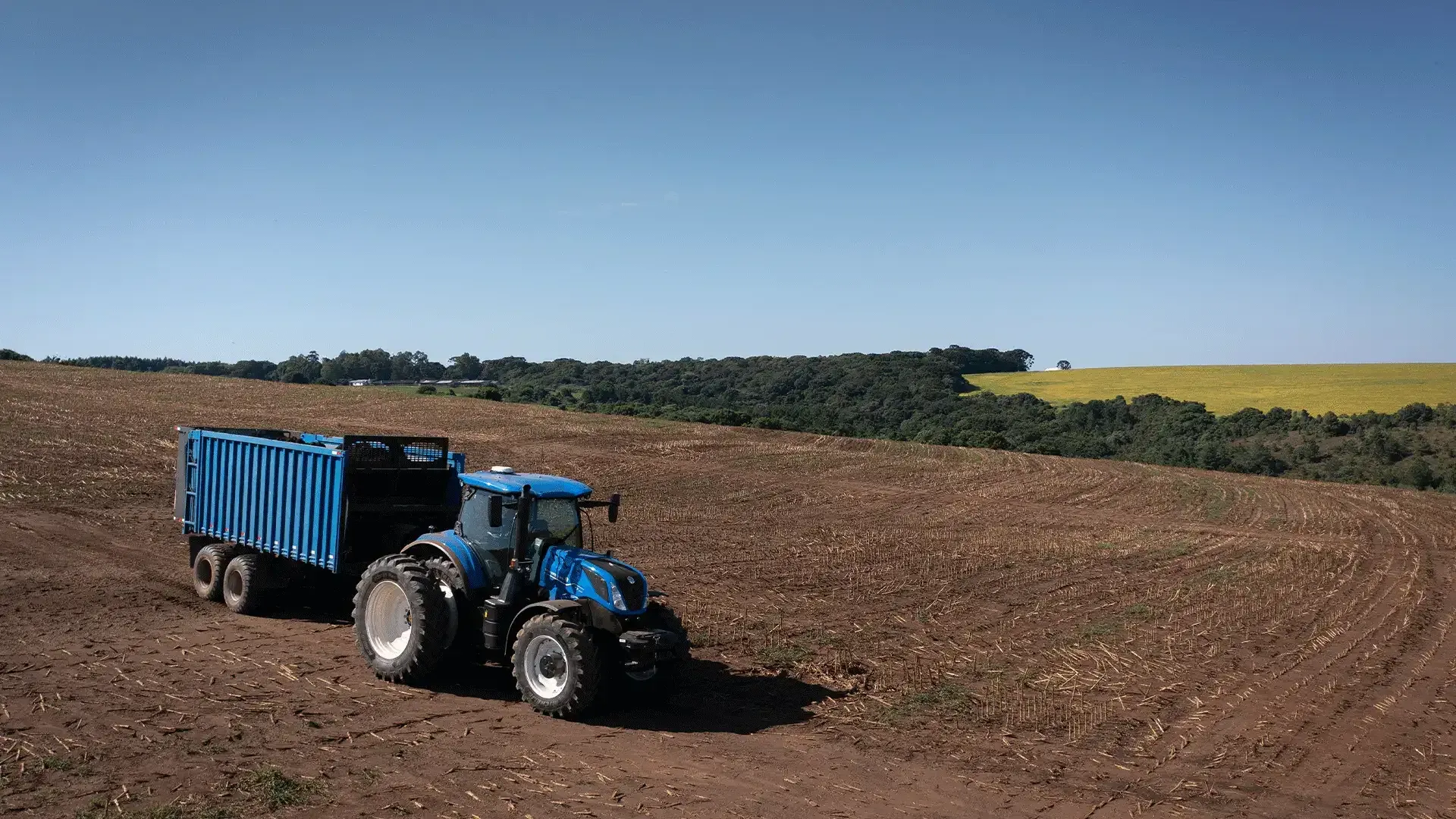 imgi_56_35b7a7bf062a43d0a063afd9be59d44f