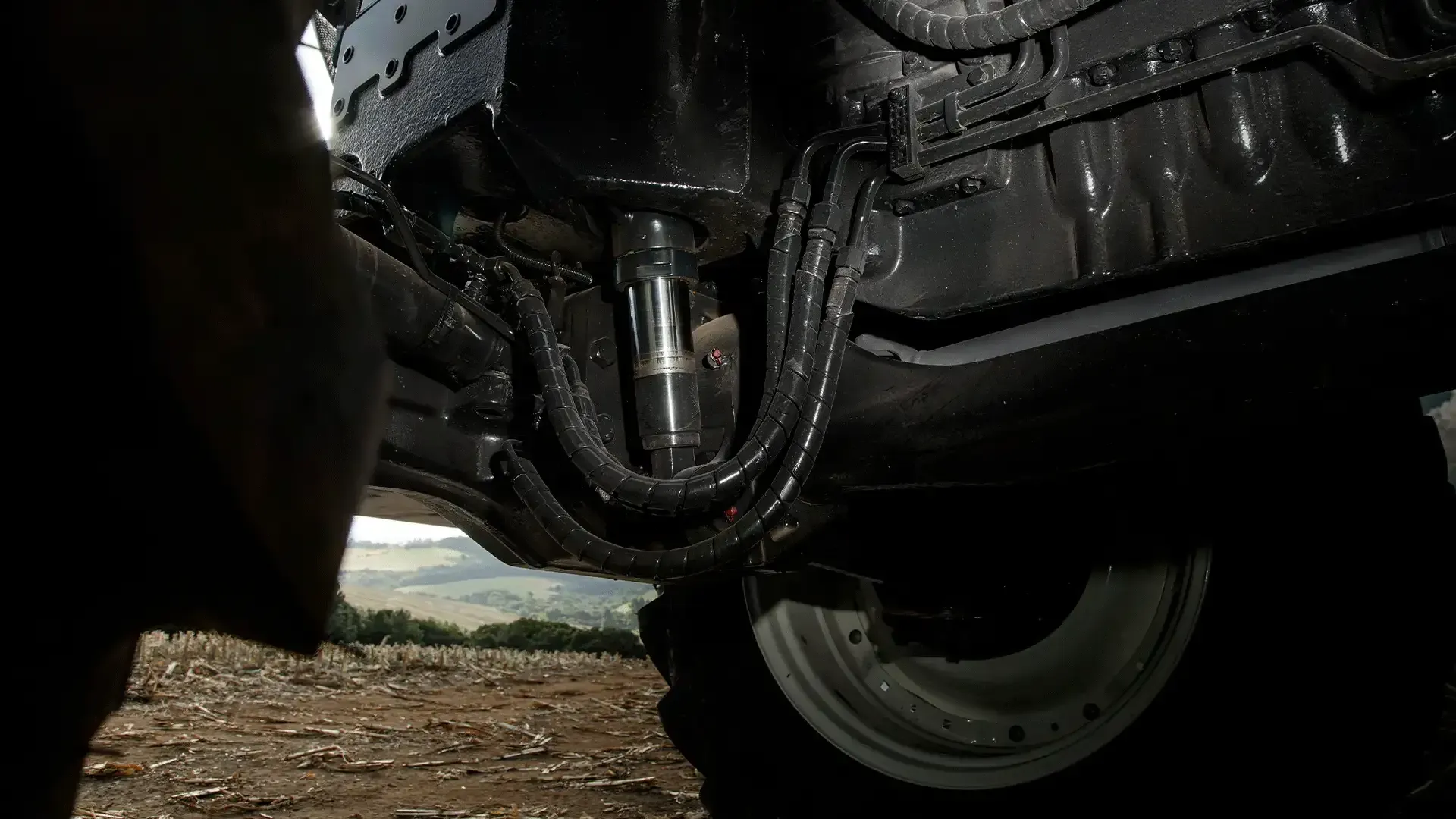 imgi_62_d1cc830cd2d243b28244a8b3ceeb9ef0