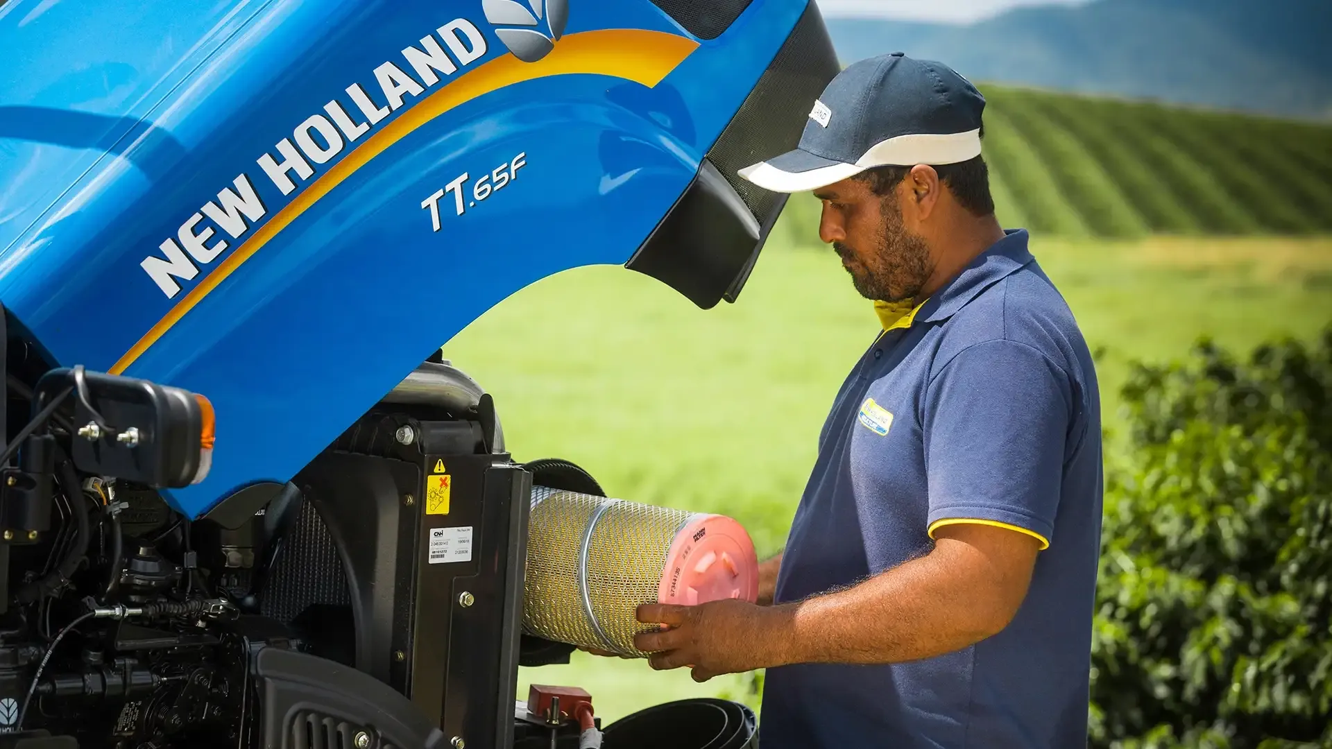 imgi_6_23548260b1014c51ad0cbba2c1bae737