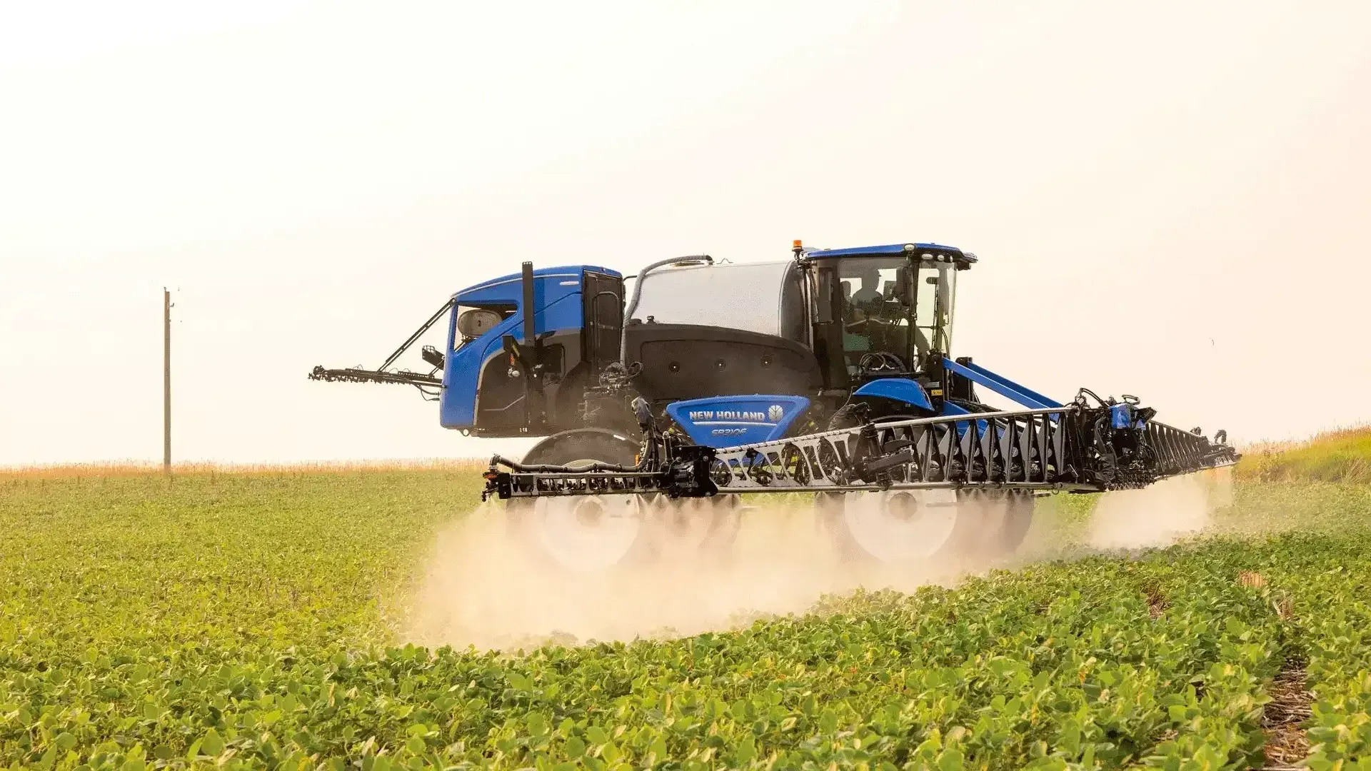 imgi_6_ed1c6cc544404052b36b5118c48952b4