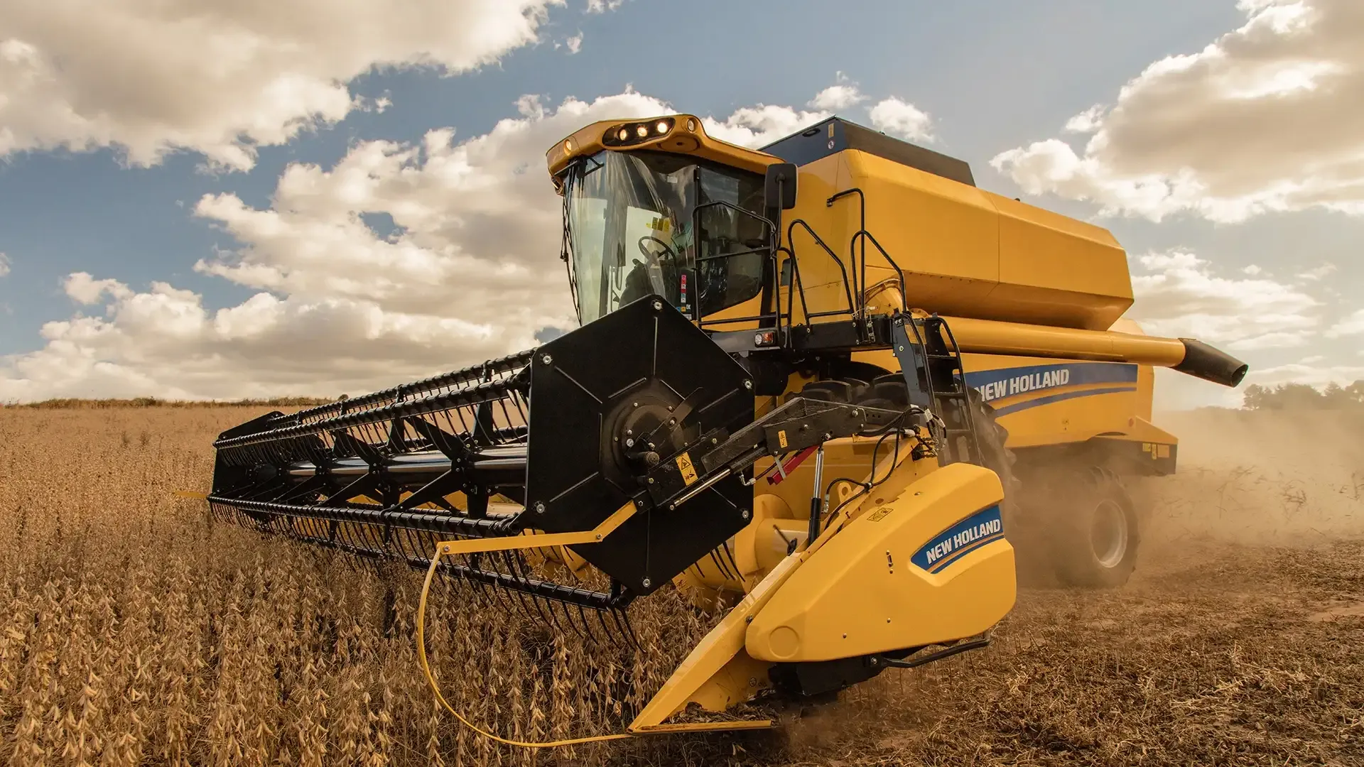 imgi_7_0c250ad25bb7429cb72f97e9c0f34c98