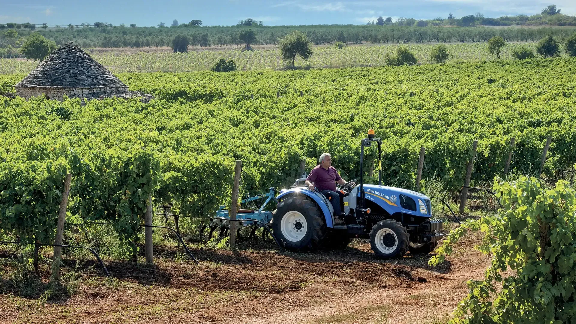 imgi_7_107c281aef5545b4a1cde325b33d750d