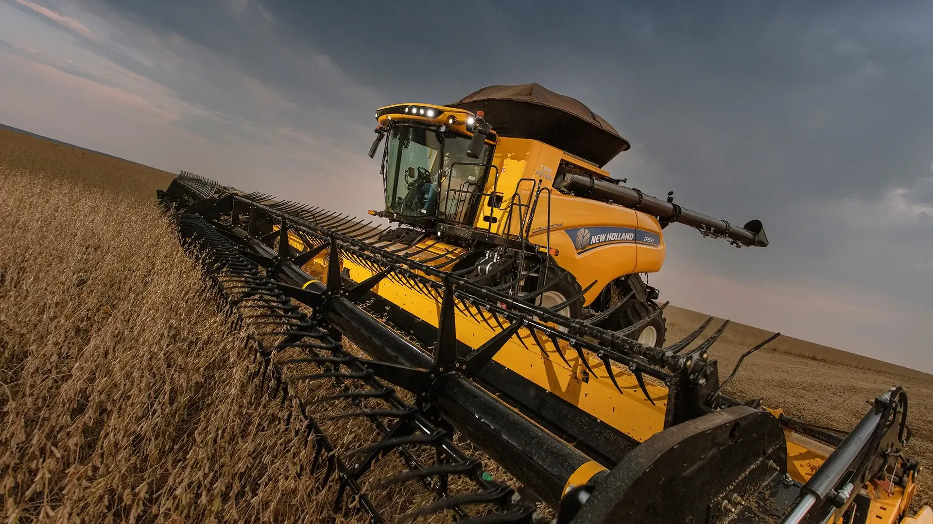 imgi_7_3ca0f4c12ff049d8b31754738a5ea293