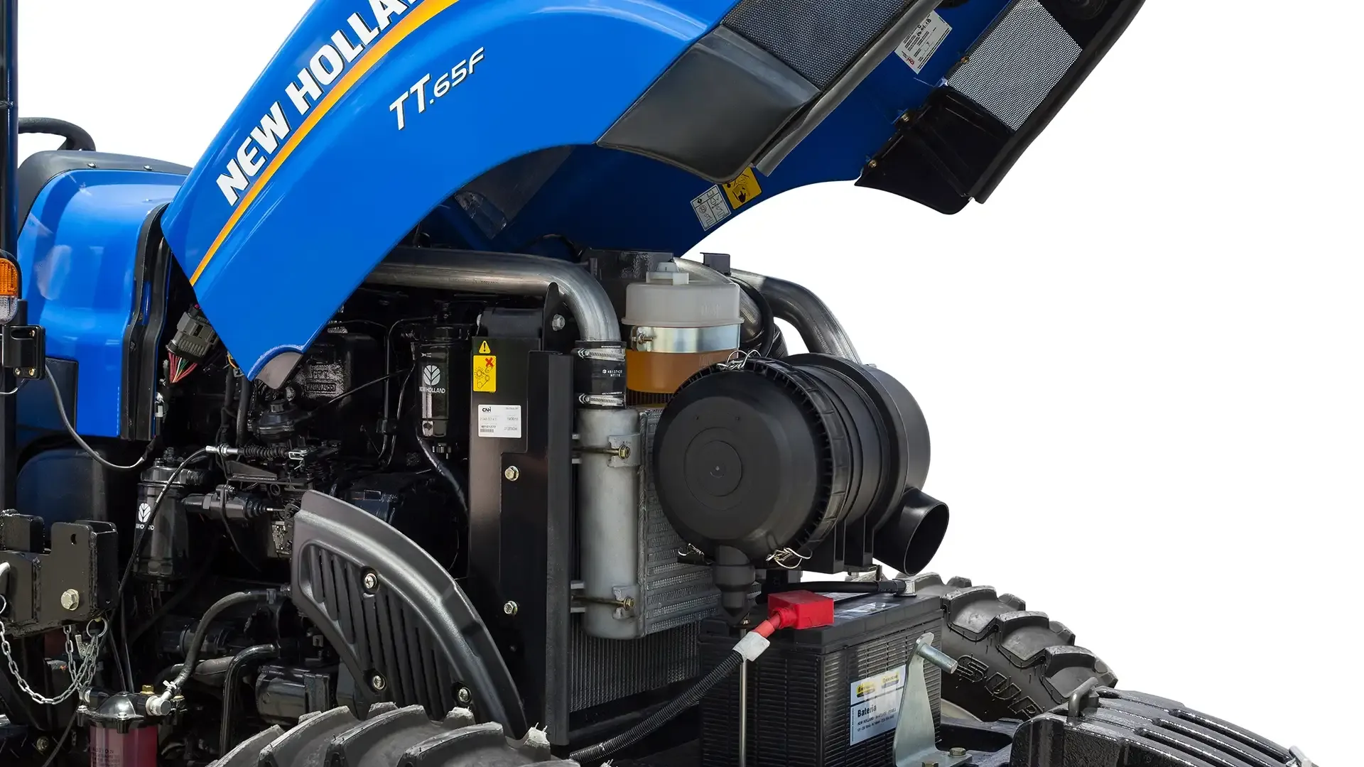 imgi_7_69f082dbeb5b4792ba8126a14a0ae9b1