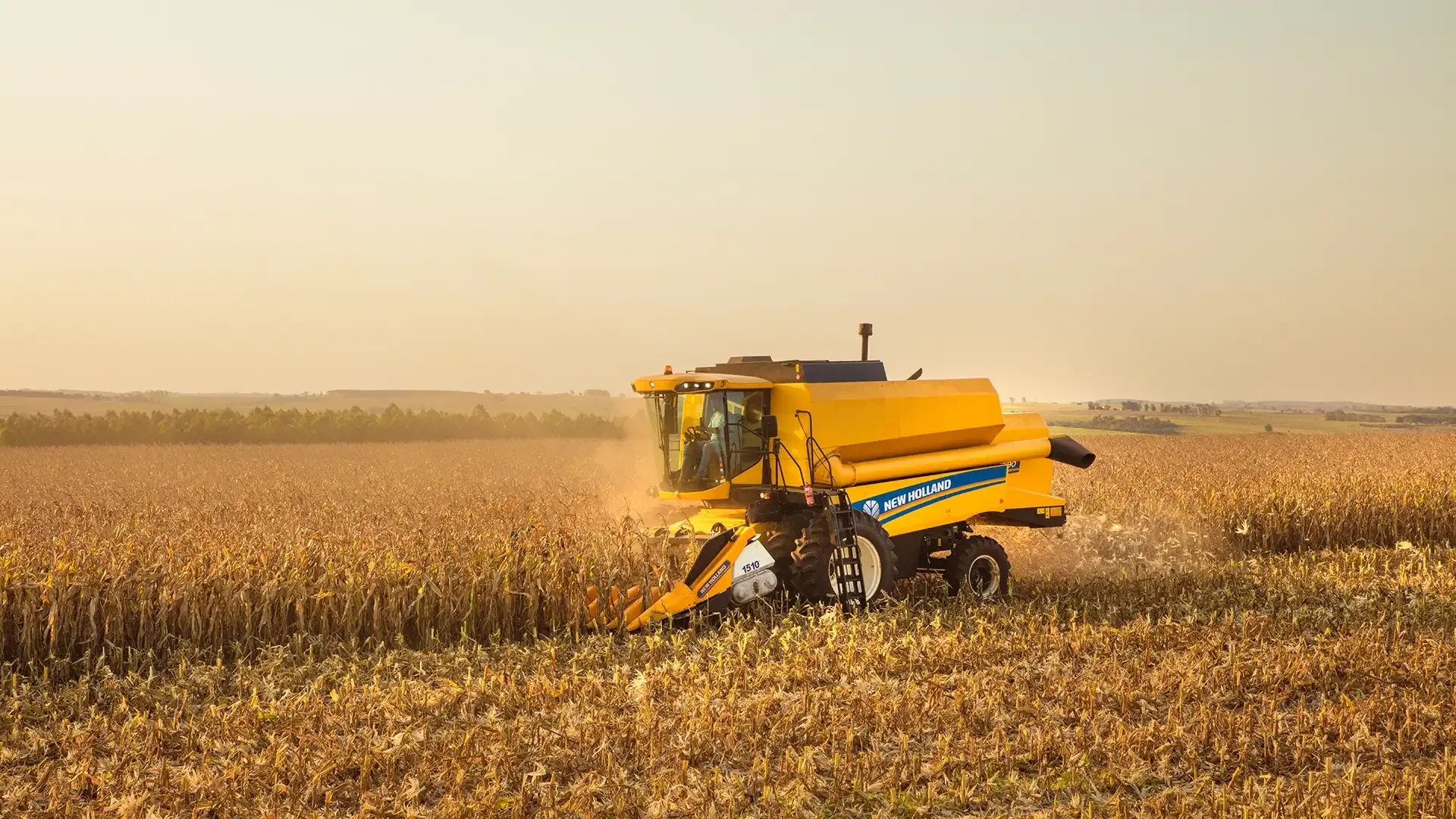 imgi_7_76d4d60f1b0648e58105fa5da7e2e168