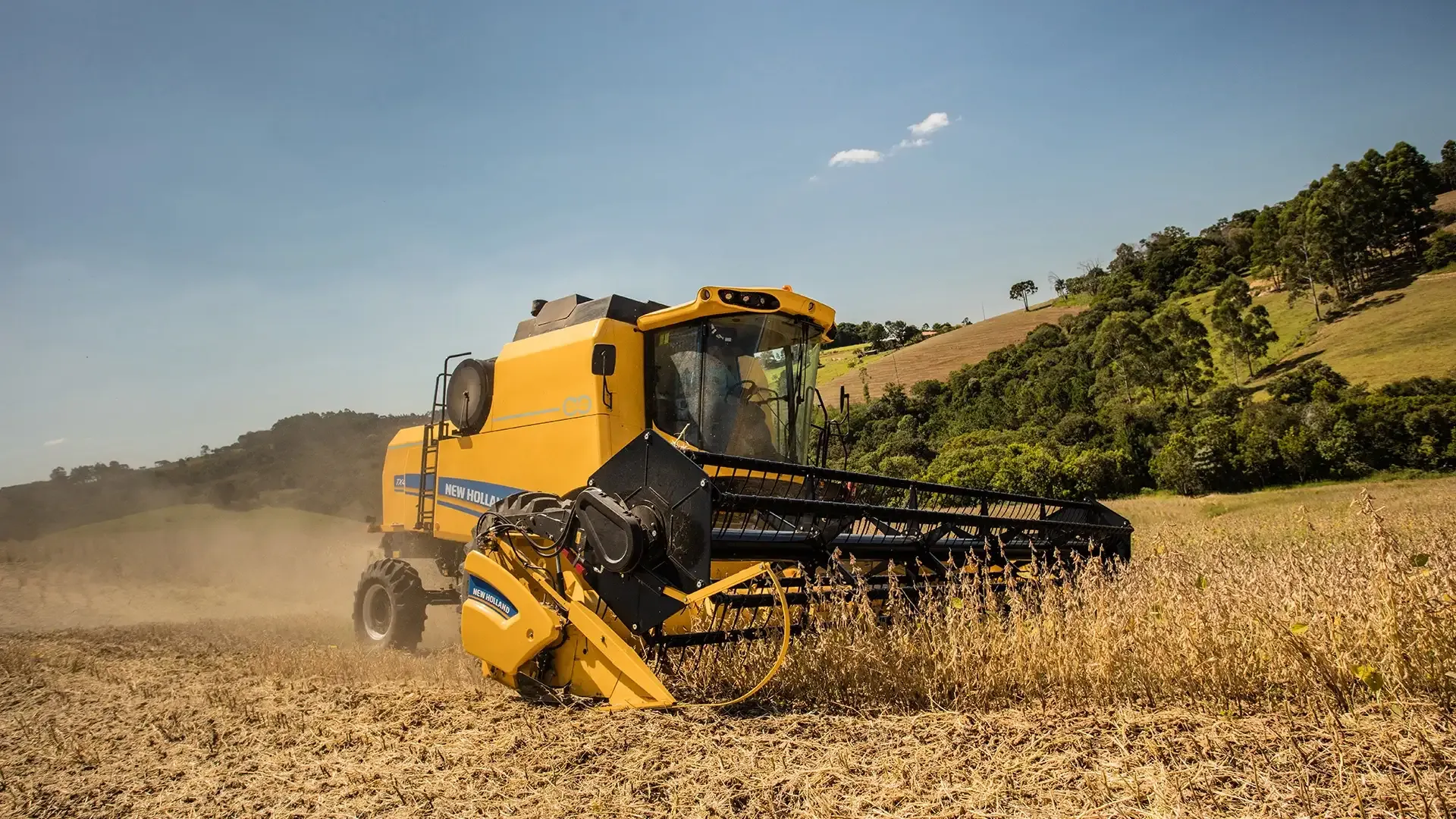 imgi_7_e0467cd3337a415abd1aa43c6c933537