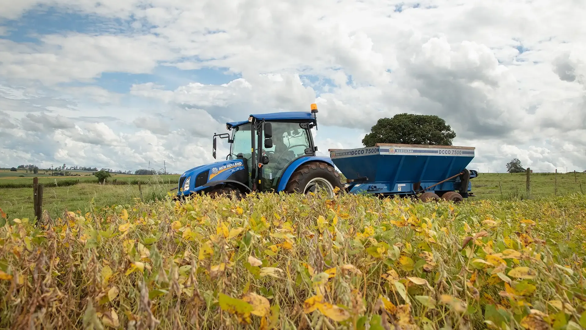 imgi_7_facfead8a38a4596bf286446896cce23