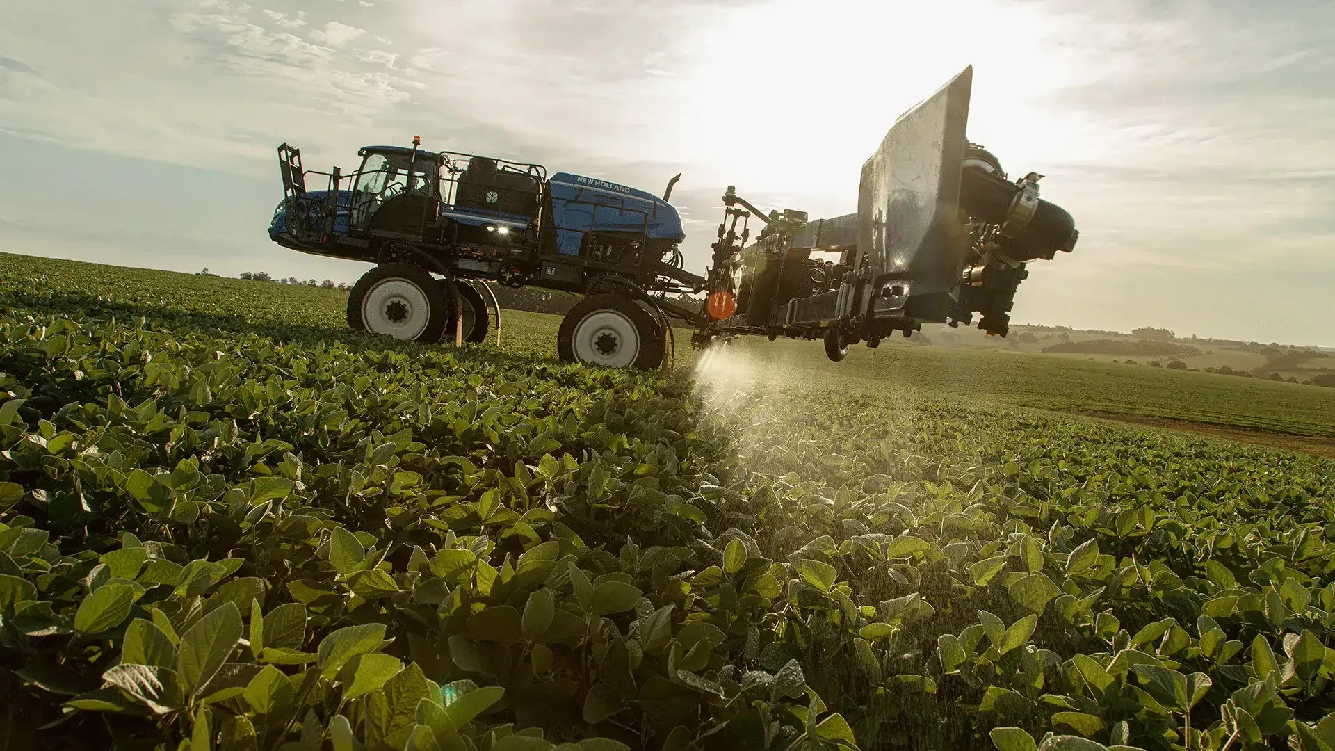 imgi_8_2a1ed9f615664755b0f9eeec3bf939c4