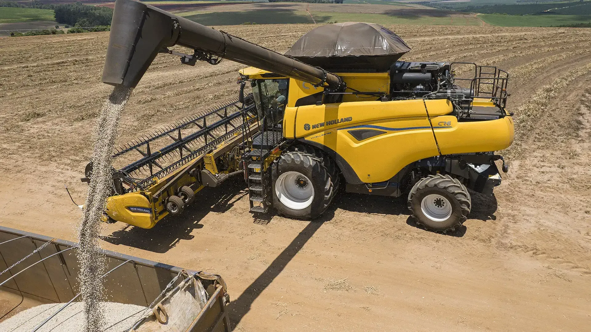 imgi_8_378e902491714cb5abc07648c857a411