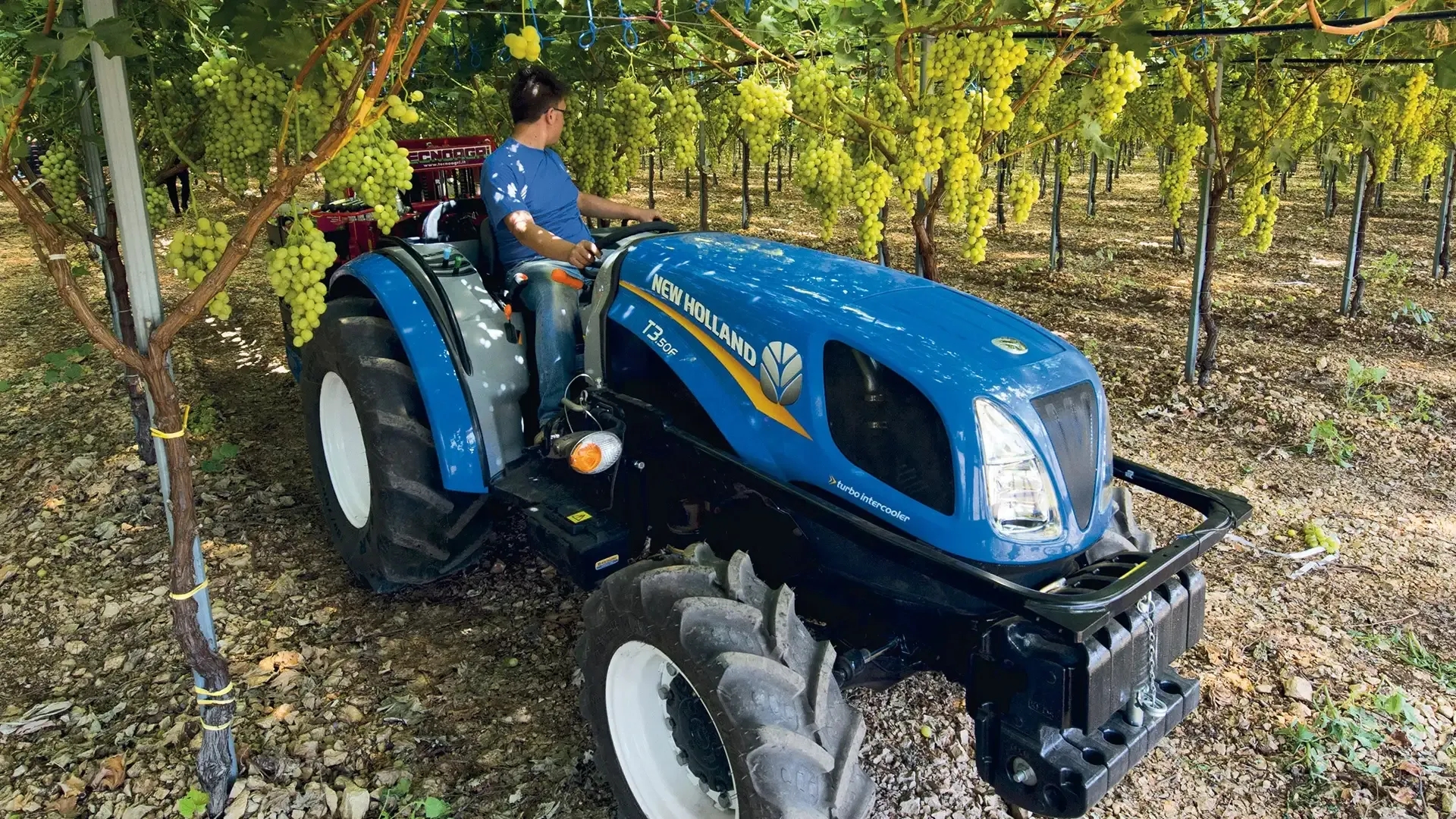 imgi_8_48e1164d30b14c5596cc94ca93f723e2