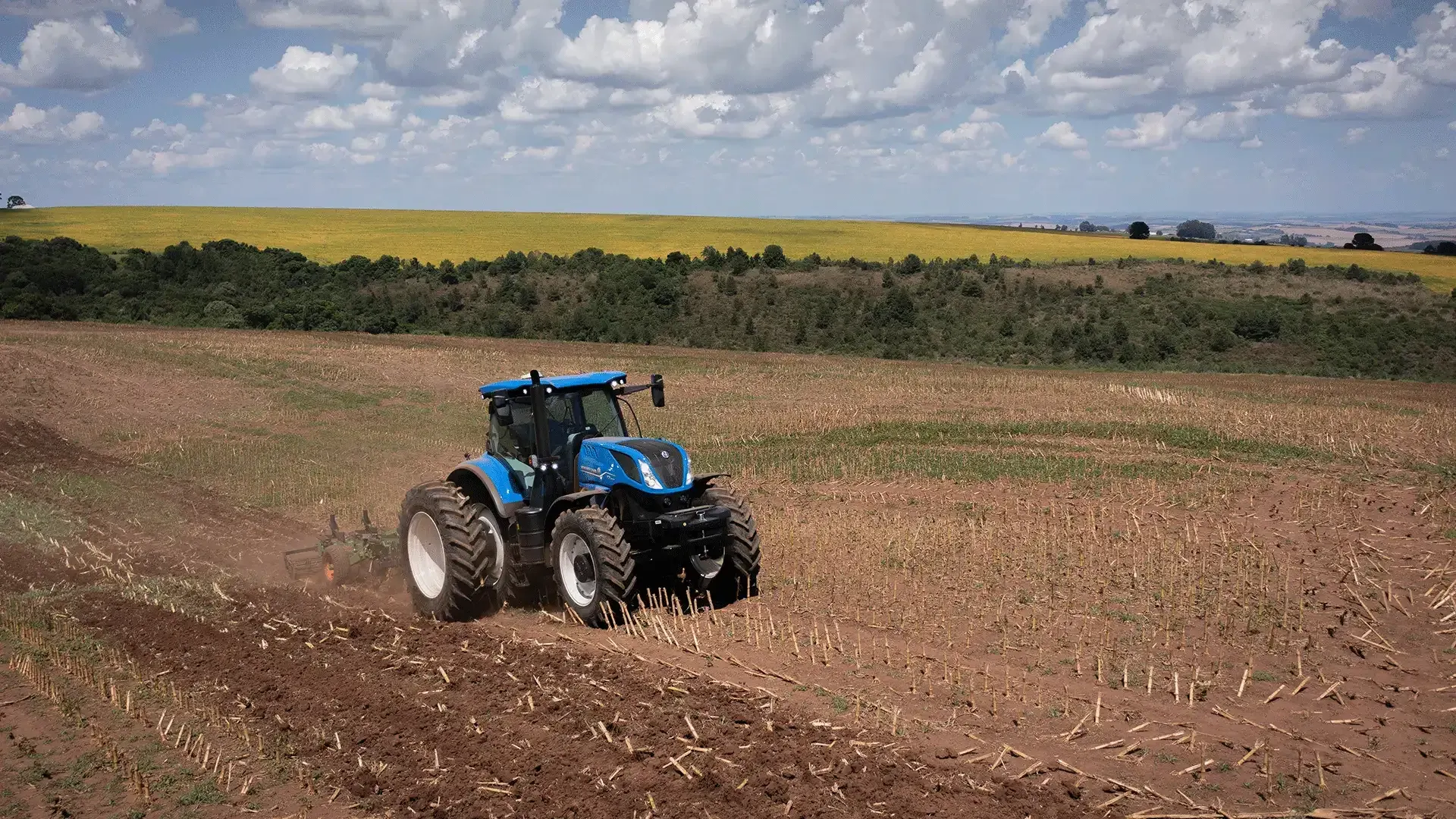 imgi_8_5171dfcc404c43daaebb985fa3948f58