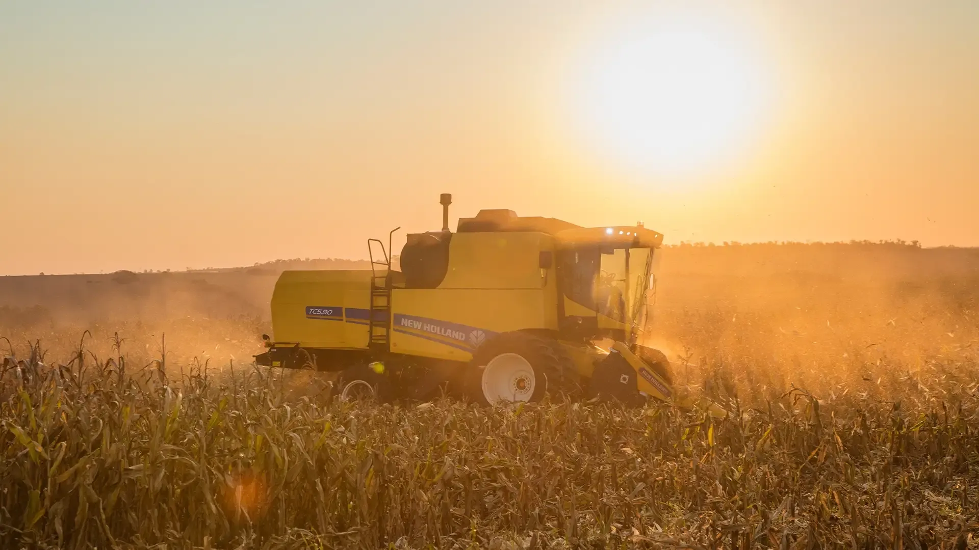 imgi_8_5b8c2b5d3e0649afb6f0d6f260f893e9