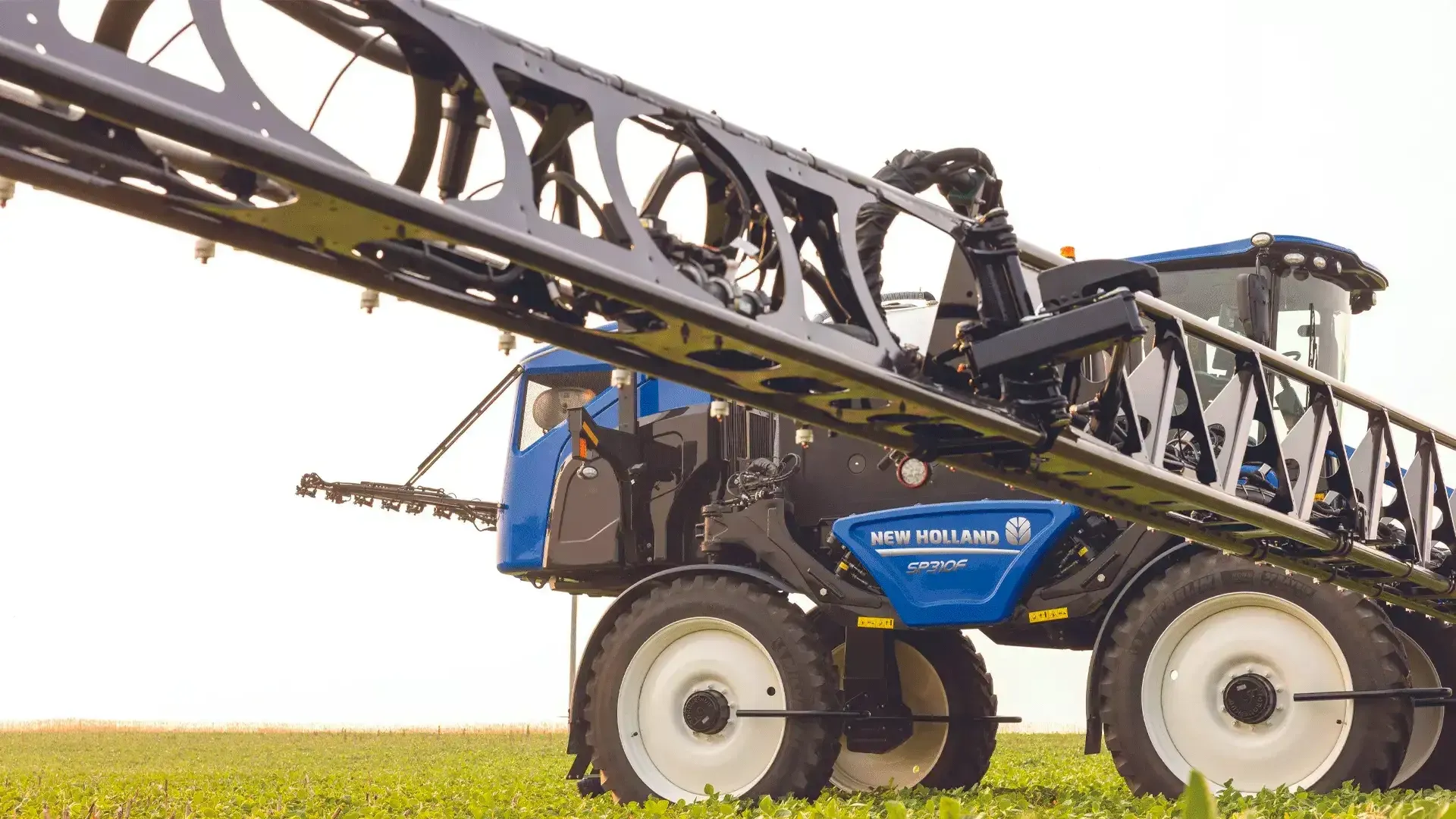 imgi_8_5f751155434540debd4f401a31fd39b1