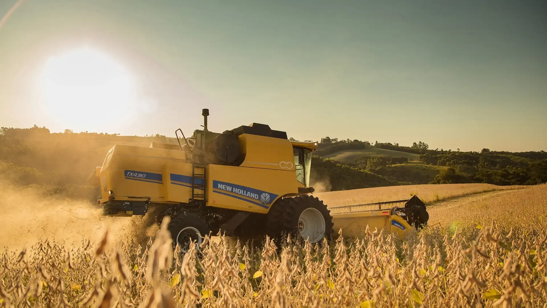 imgi_8_a00981f312f84ffa83616b279e9c3914