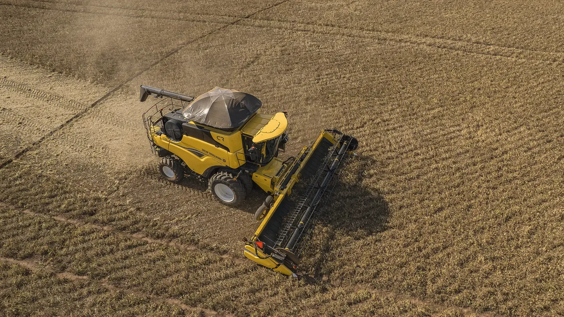 imgi_9_a220bffa887545c2a9b6e335c19a8663