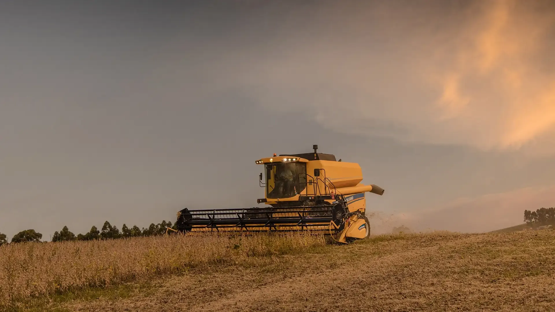 imgi_9_a7c0f4c35ceb4042ab02e446c1db4bc0