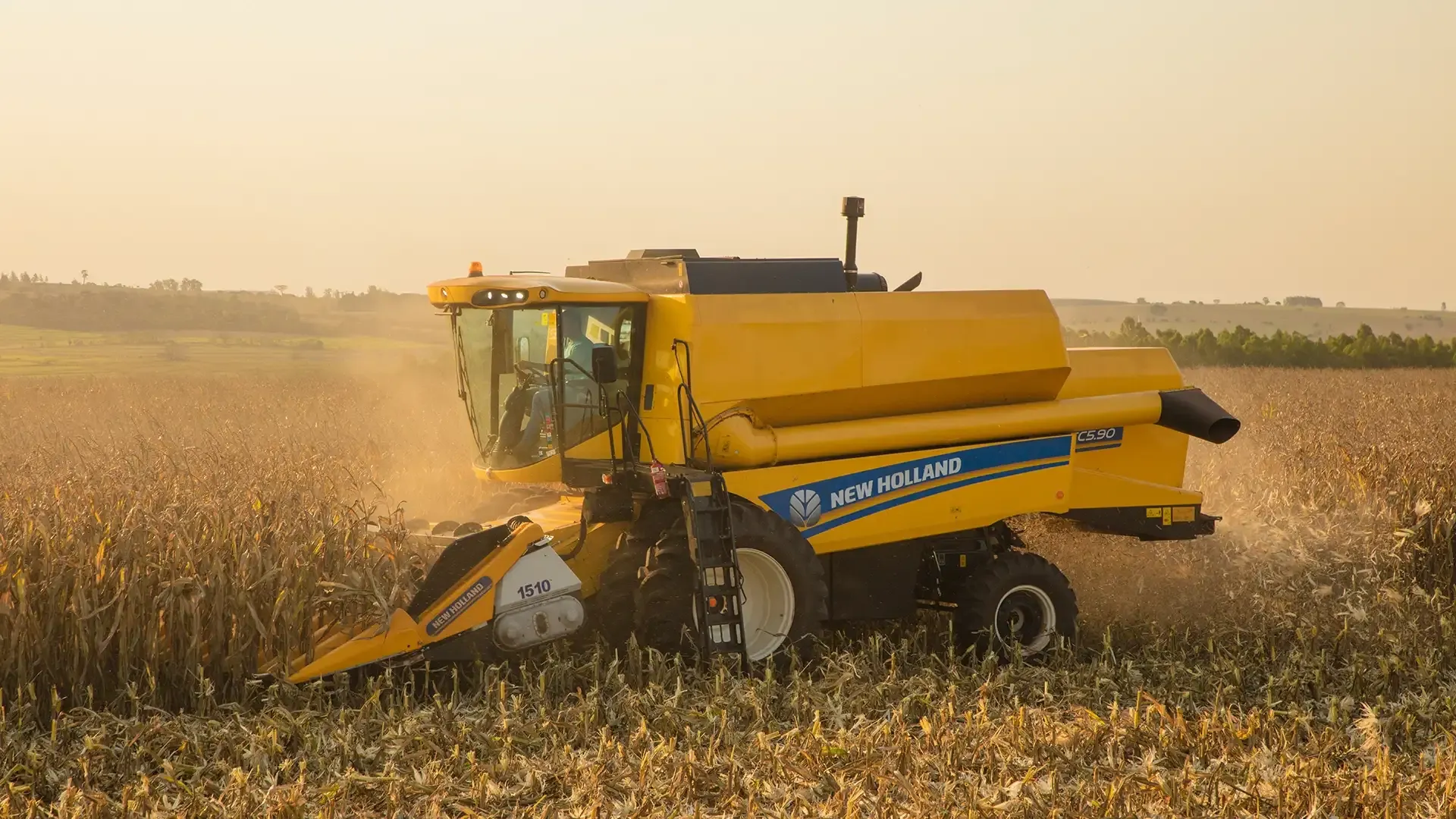 imgi_9_db35068650bc419b9bfd79f8398ec788