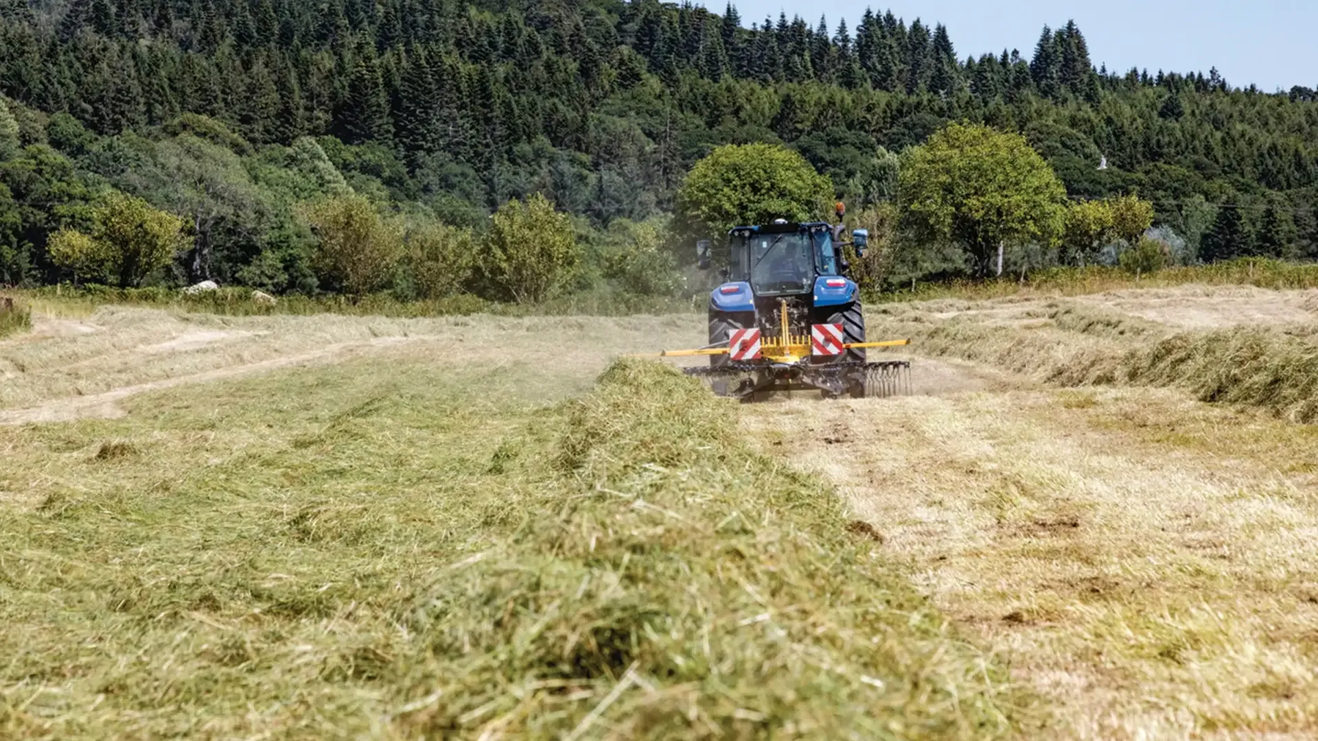 1736c0b80e1d4eeba5a78c5caa5ea654