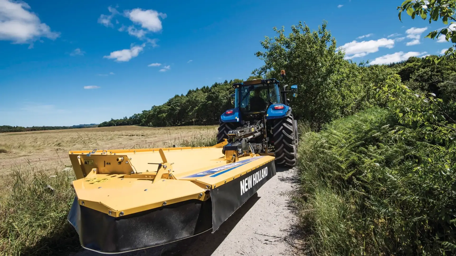 21f637f6d87446b492fea1efb859495f