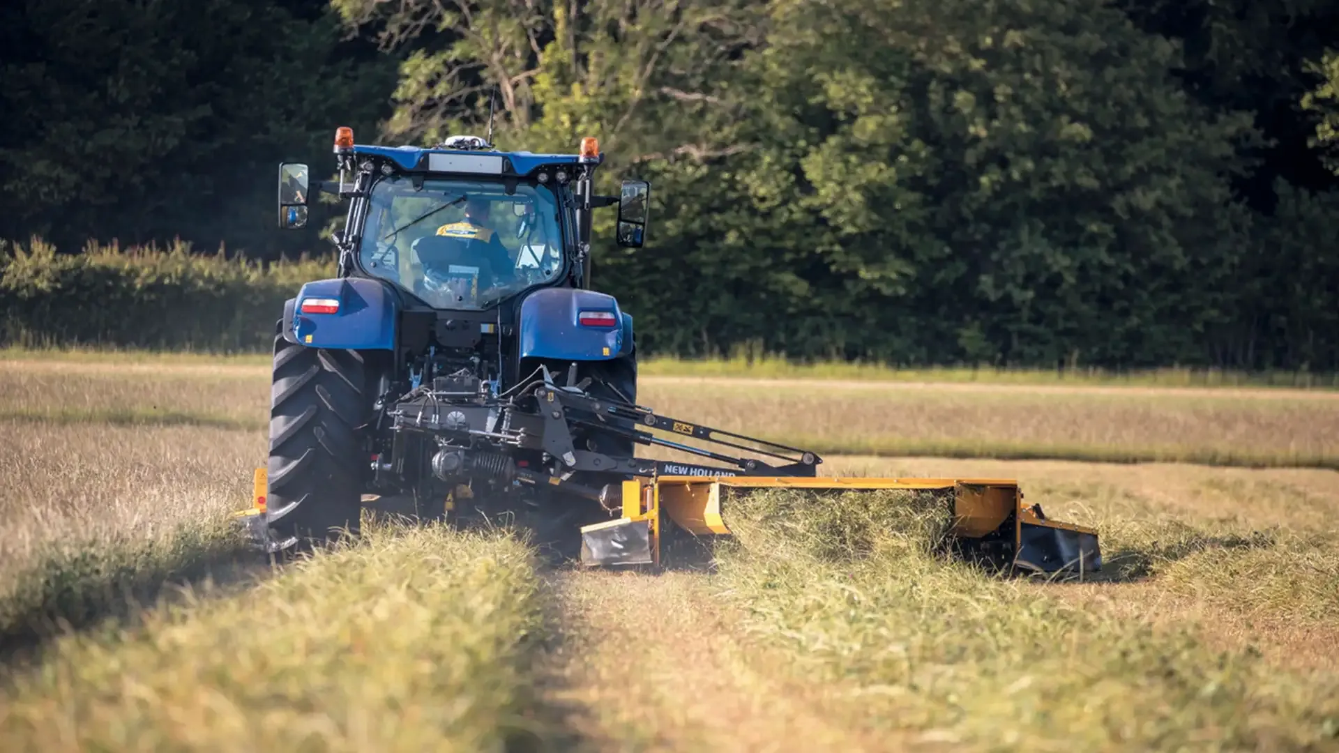 2ba89247c7144c89805fa8d5bbd009ba