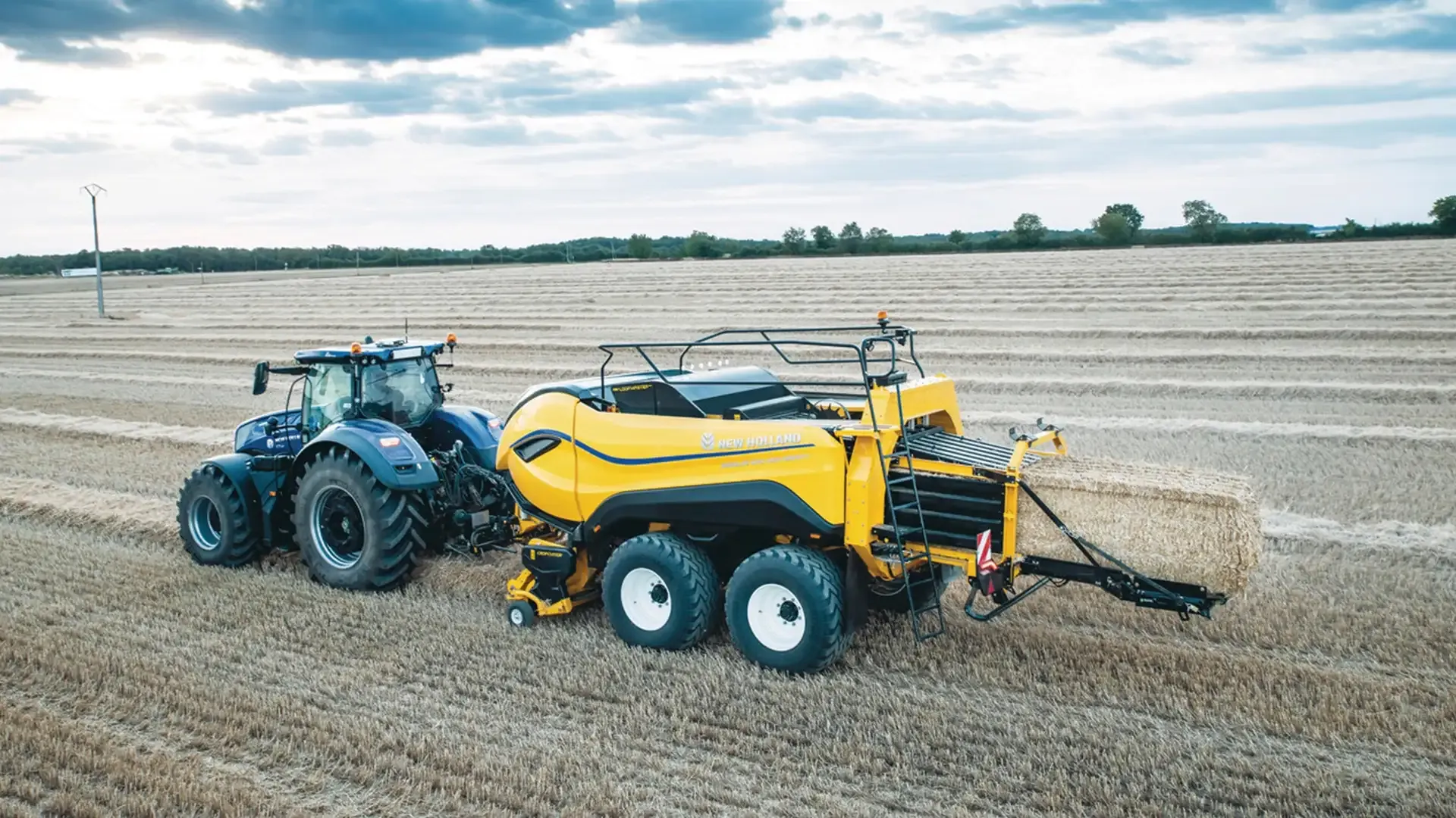 441f6a2dc17b4511a649538d1b29545e