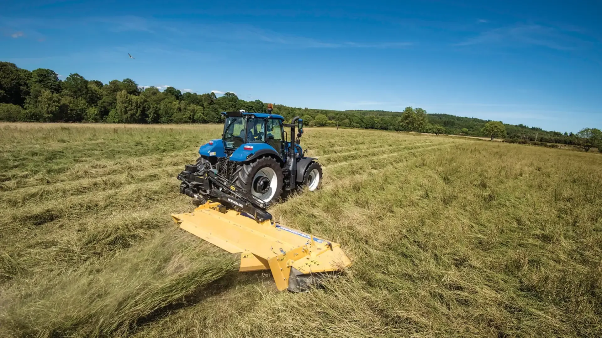 4b32379361bd4002a376a9e040aecfd5