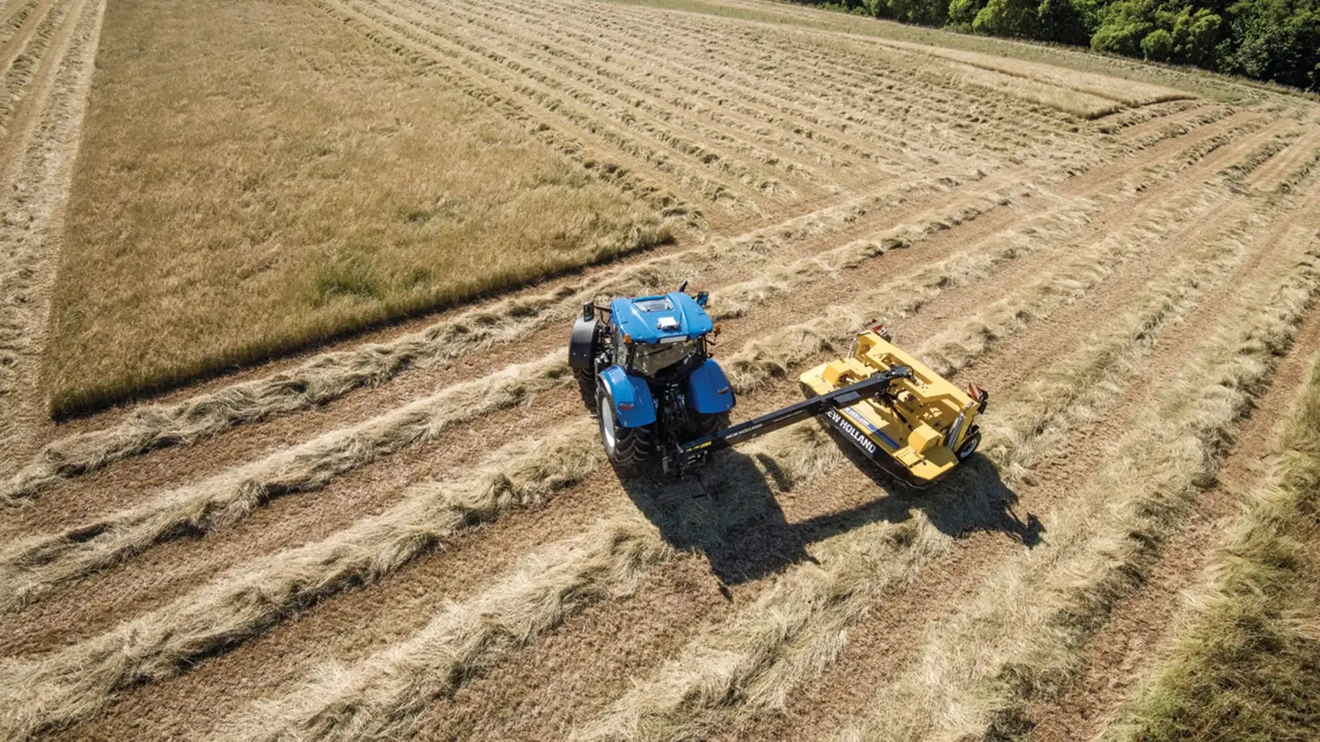 59a2121552cb4952af63991b2fa1903b