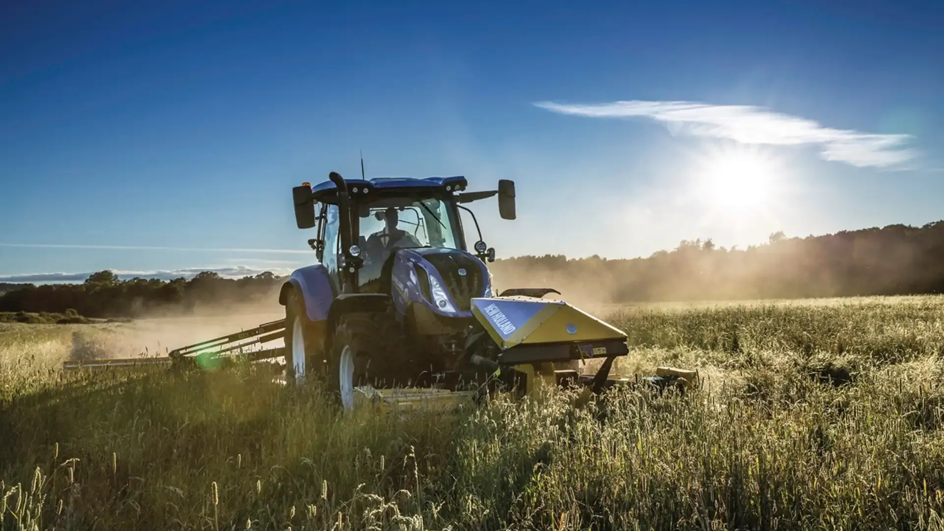 6e6961cd84ea44c19bf96ea2c1c14a61