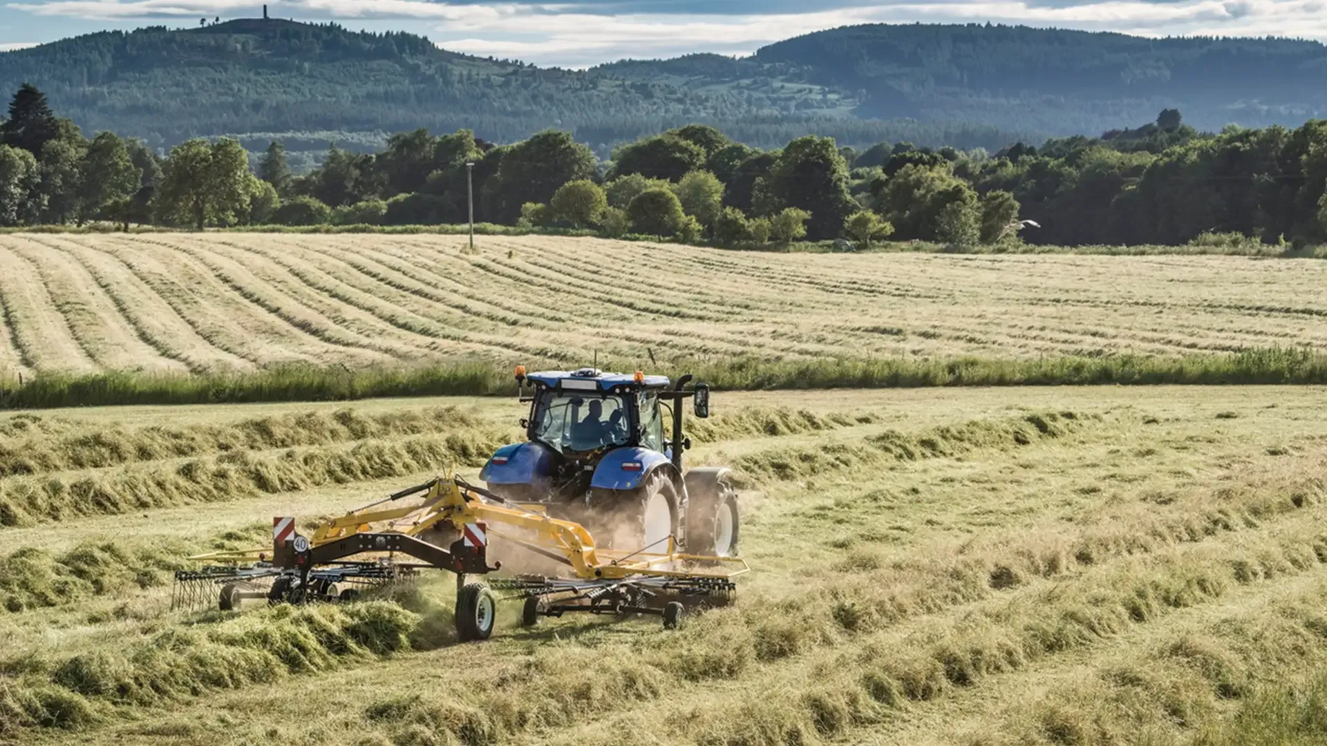 81807fd6a31a4fff92bdf438301000c3