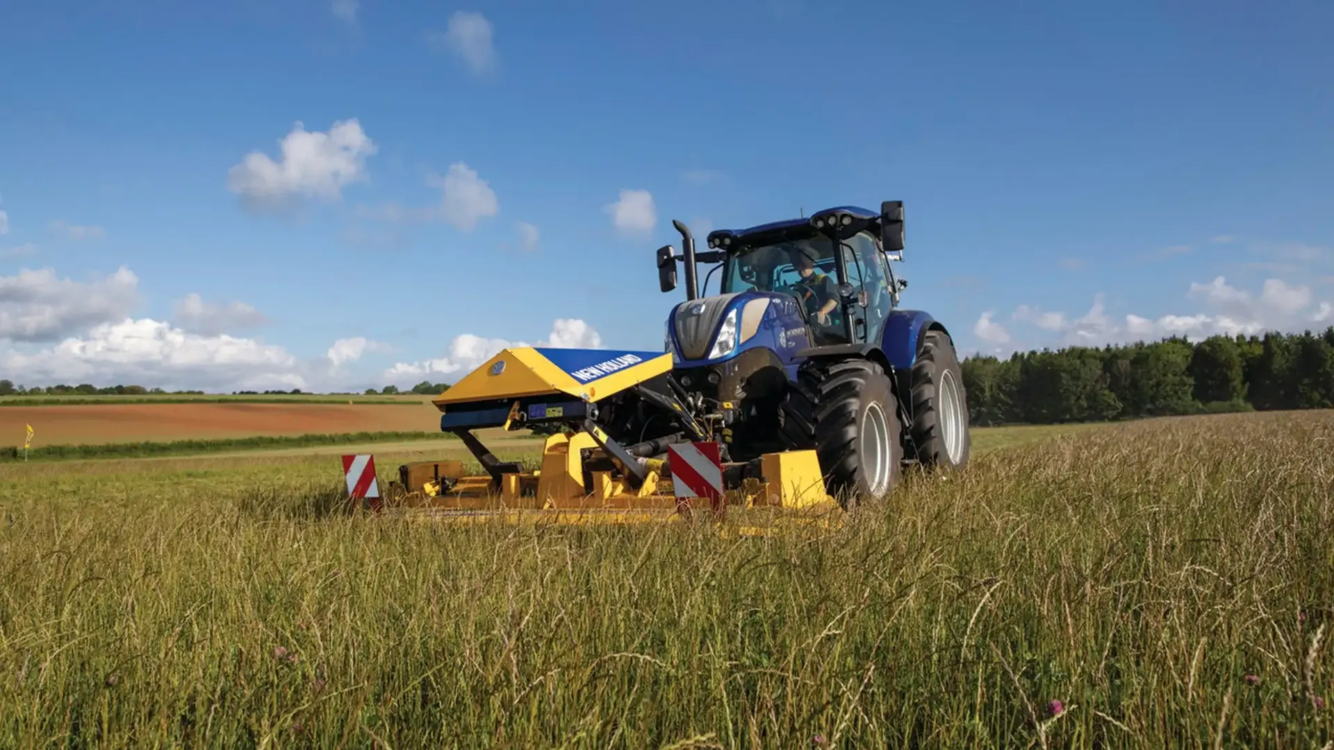 b62dffc83dc34214a670bbe8be9f775b