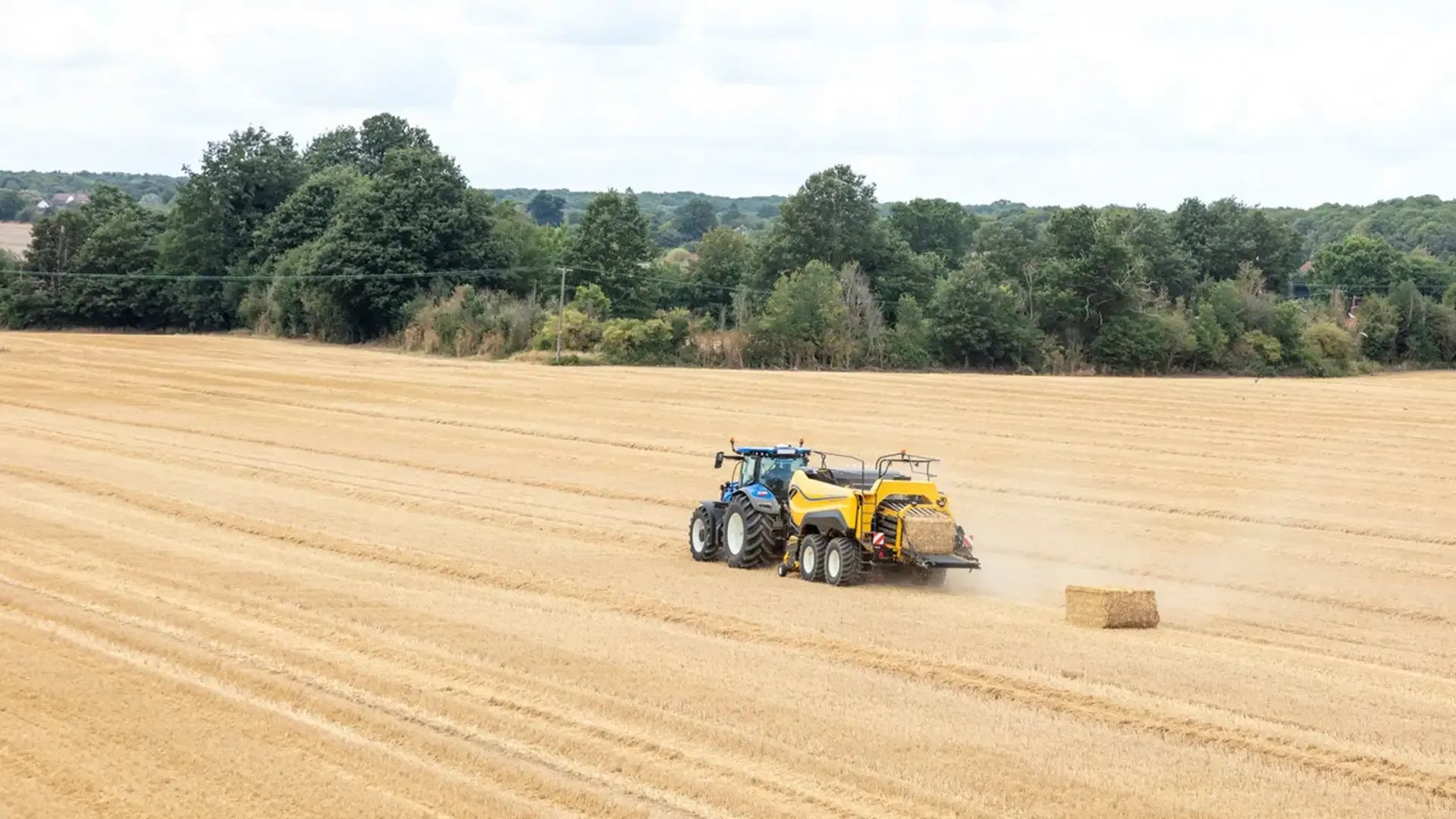 b8962b61d6ae493092544ced23516429