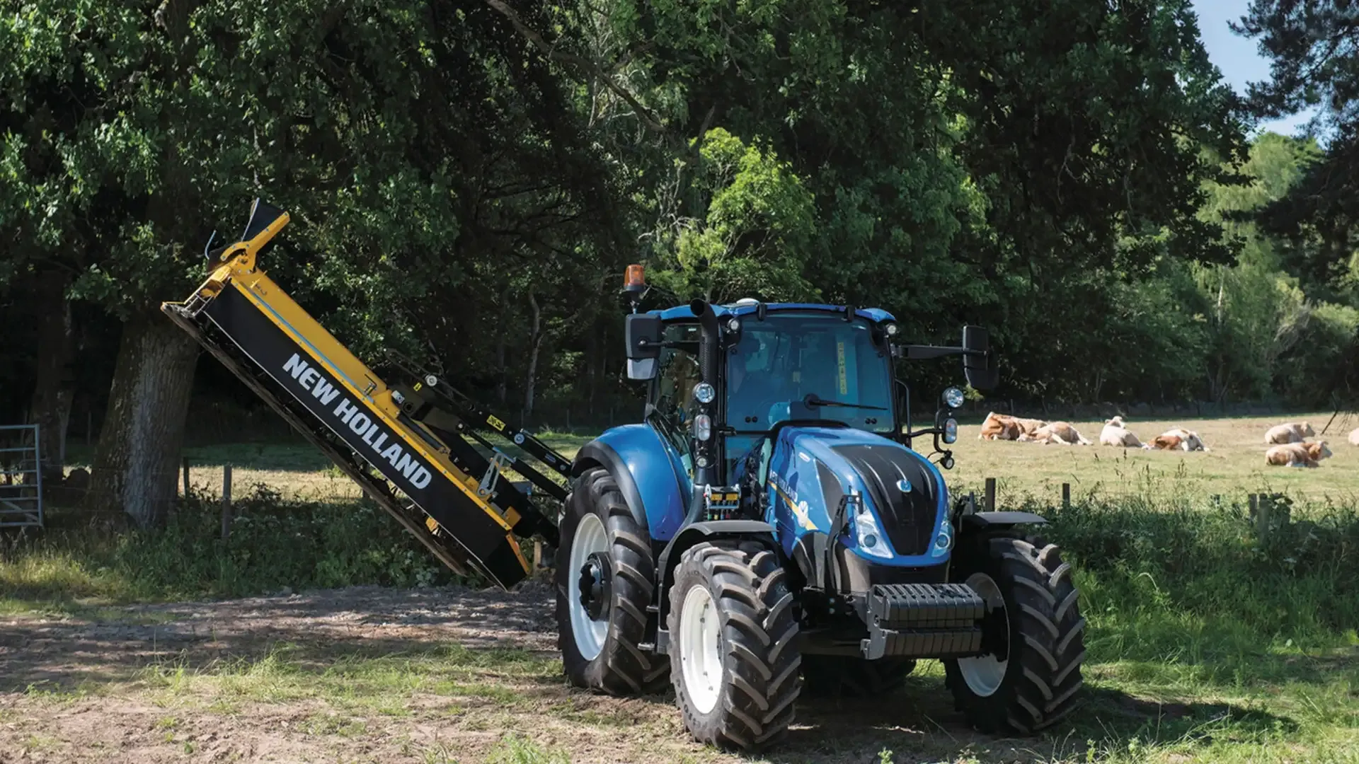 c61223bdf3404673aa07c17199d20758