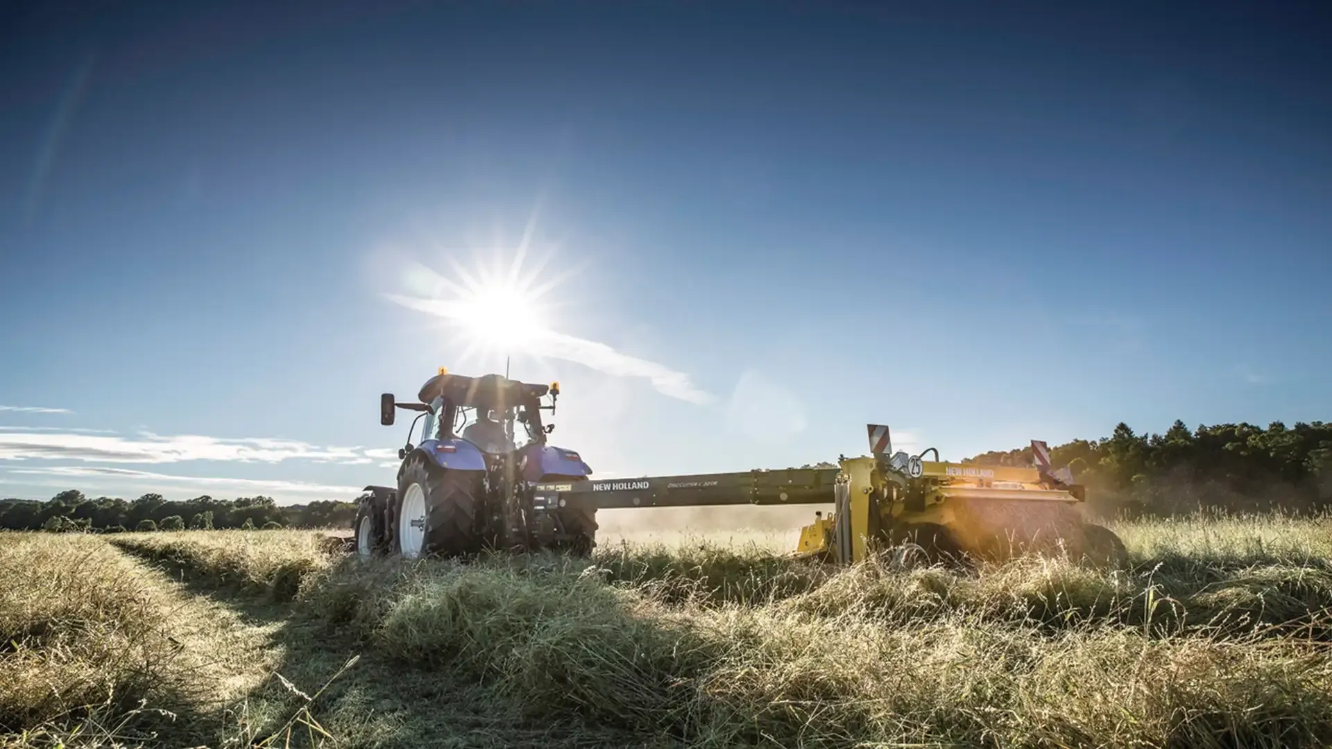 d0085244c58a4559b7032e3a80ee3aba