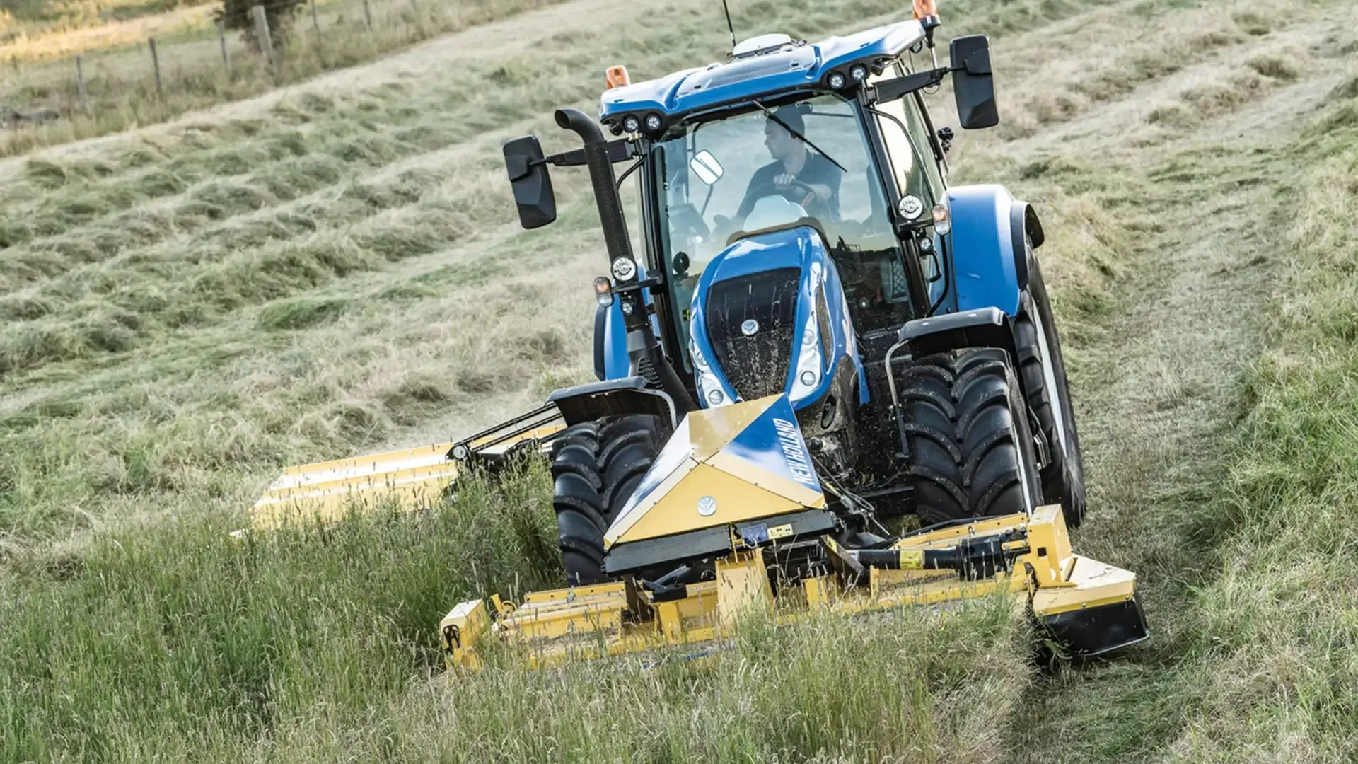 e6ea7835c0a44d11931b9d79d1f922f9