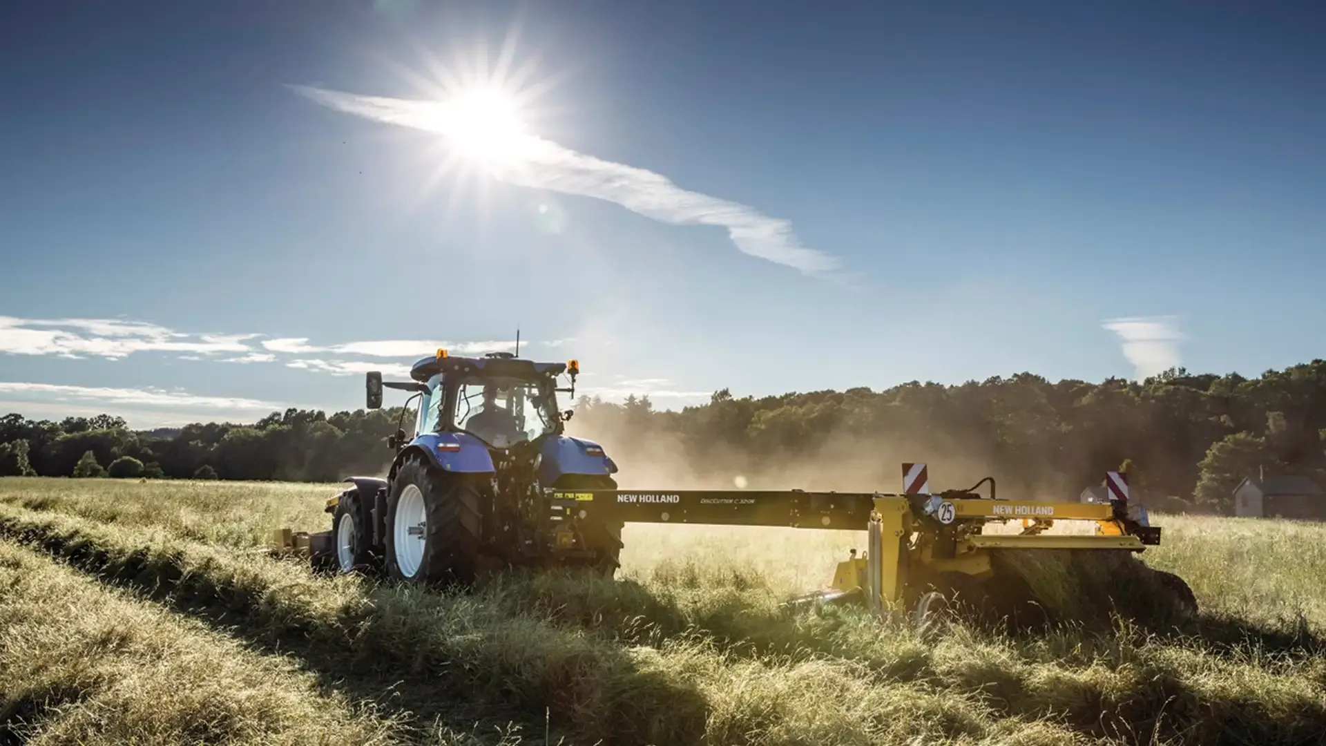 fe133159c1b24006b84a397ade05f5f5