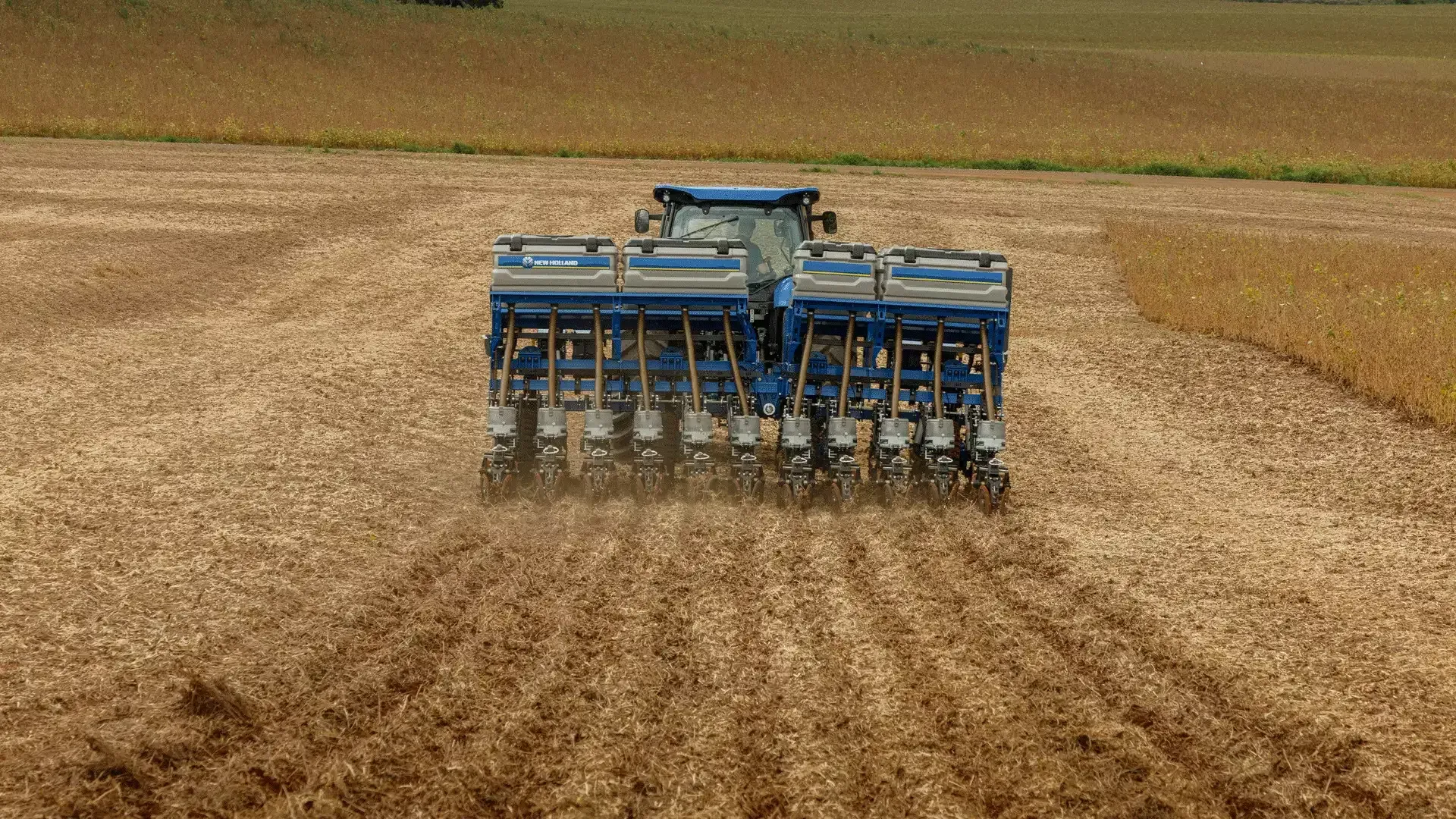 imgi_10_300d155de6064dfab81a25770eb9cccb