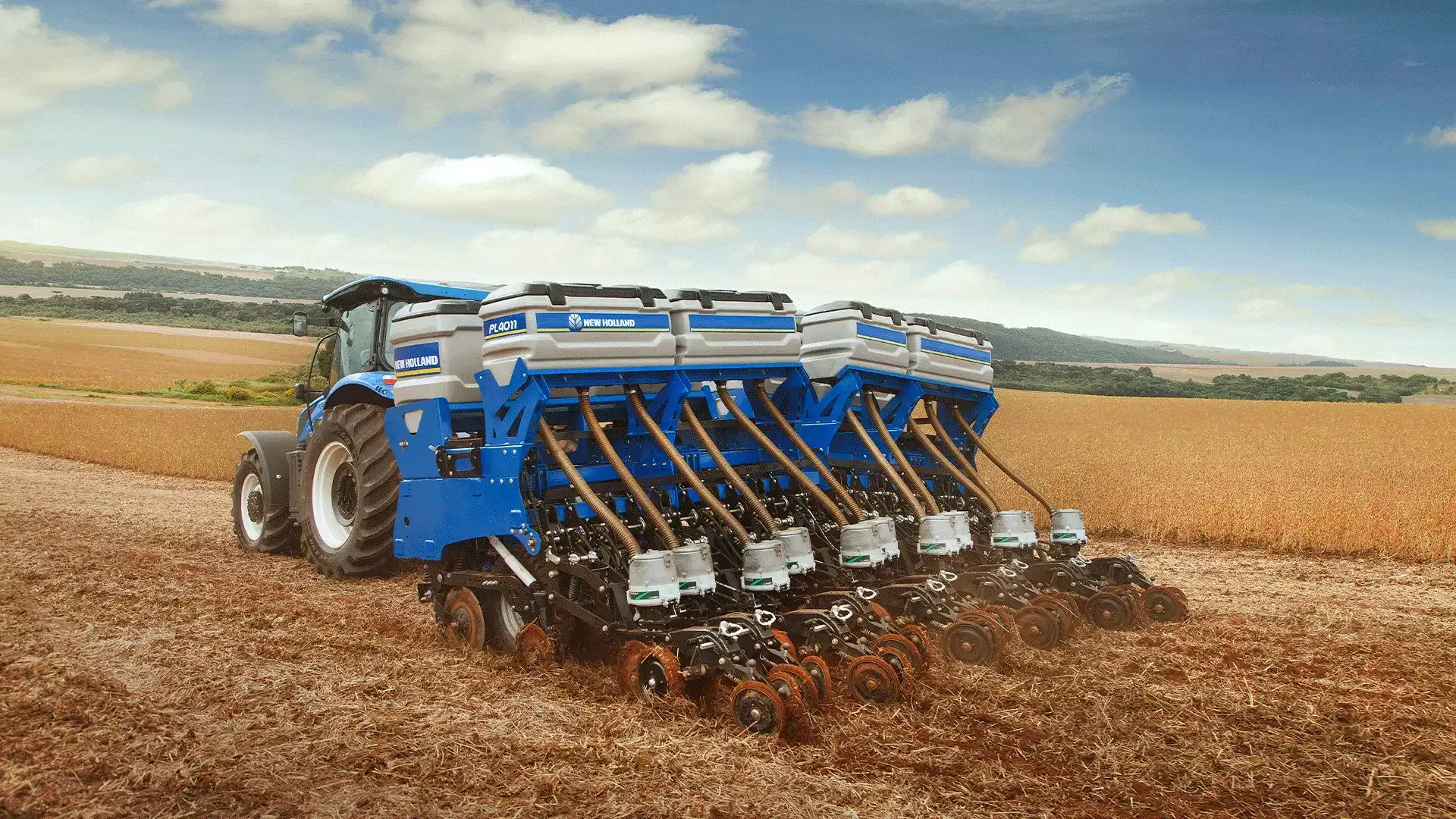 imgi_11_b75079933cd44415938ddb7aacc00684