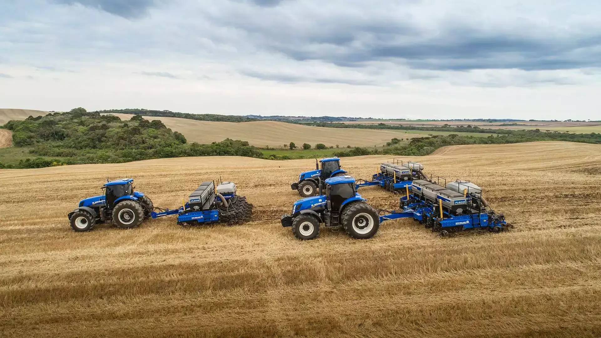 imgi_11_bc2bb6f3968c4372b7ea81ff38c52391