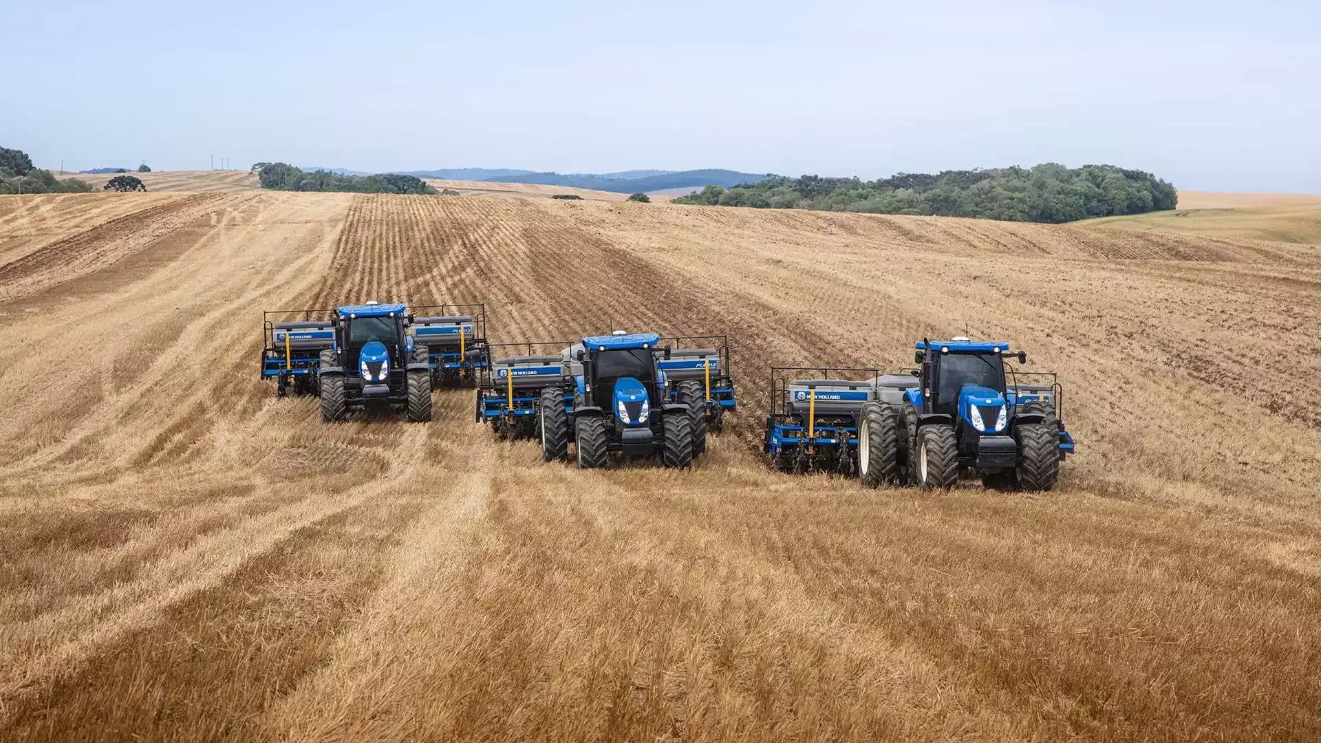 imgi_12_a37fe02ddb4d42ed9444959e8249e782