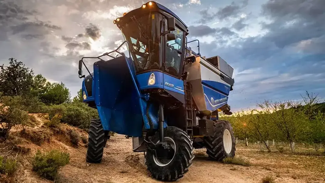 imgi_14_b0ccde8335724635be8b80392e20ba30