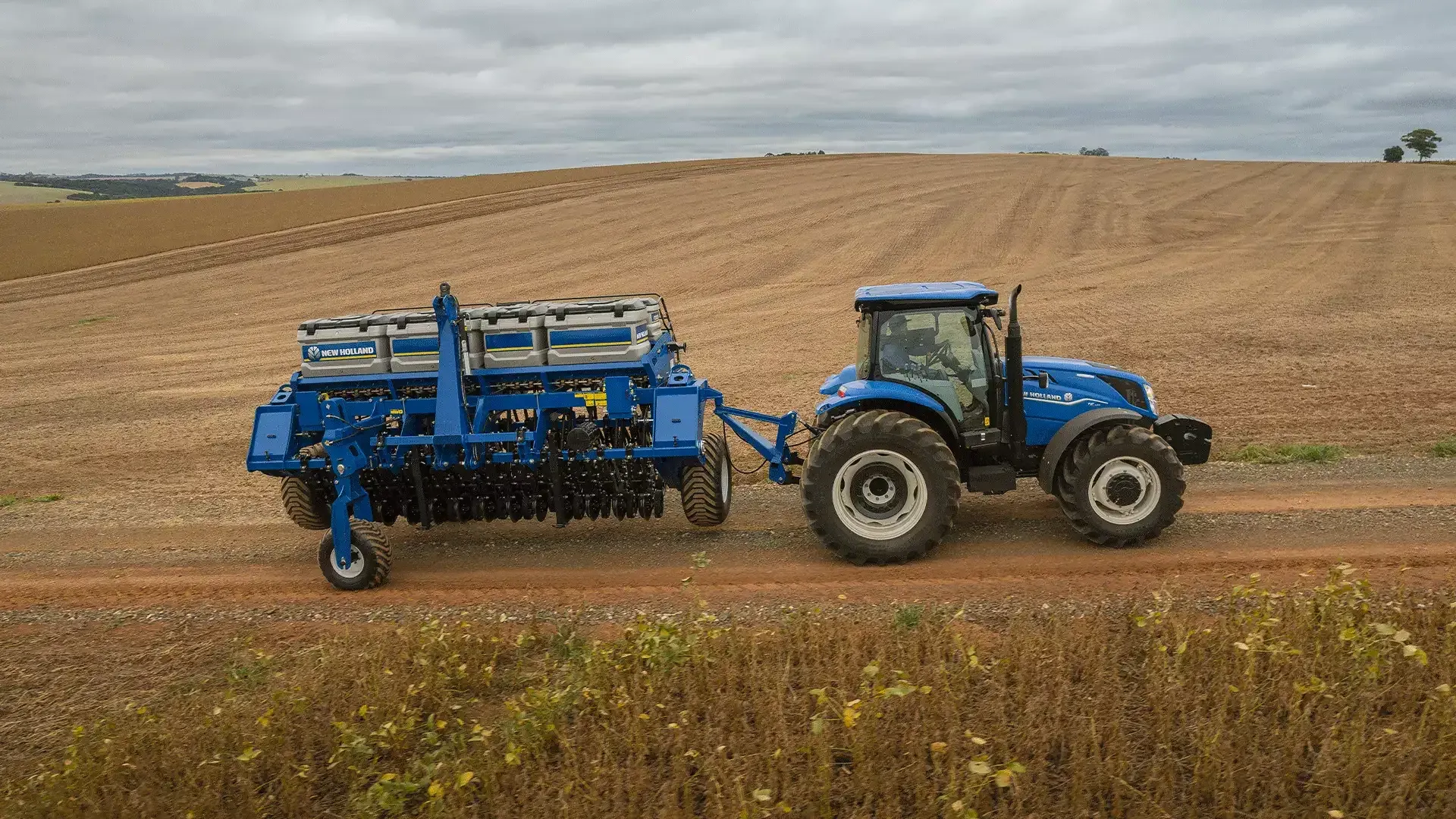 imgi_16_4d55fd50bff8404dadbe8f181066185b