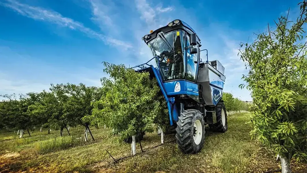 imgi_18_c182417e6b364f959431f05c96b8de0c